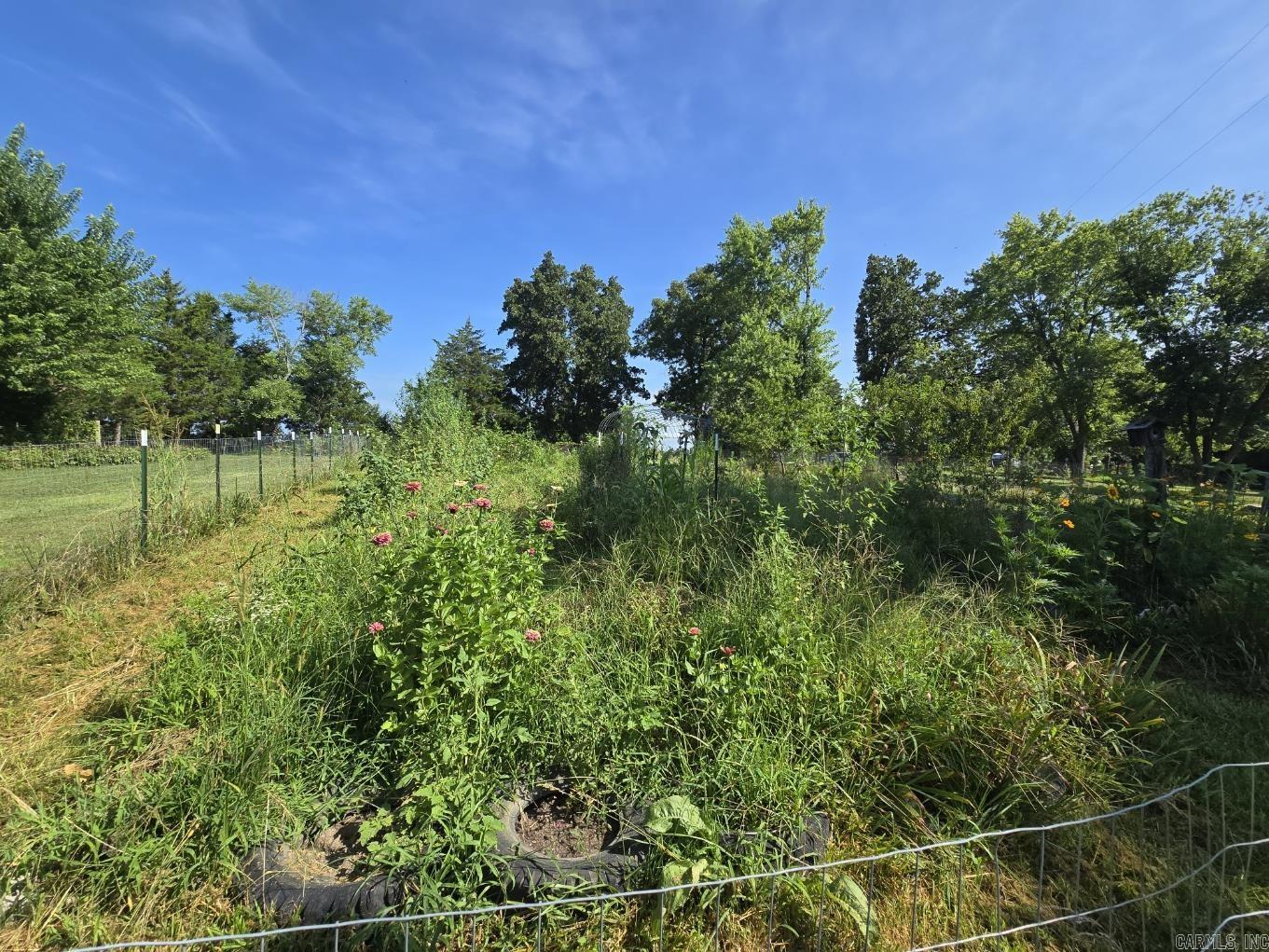 3036 Hwy P Highway Alton, MO 65606