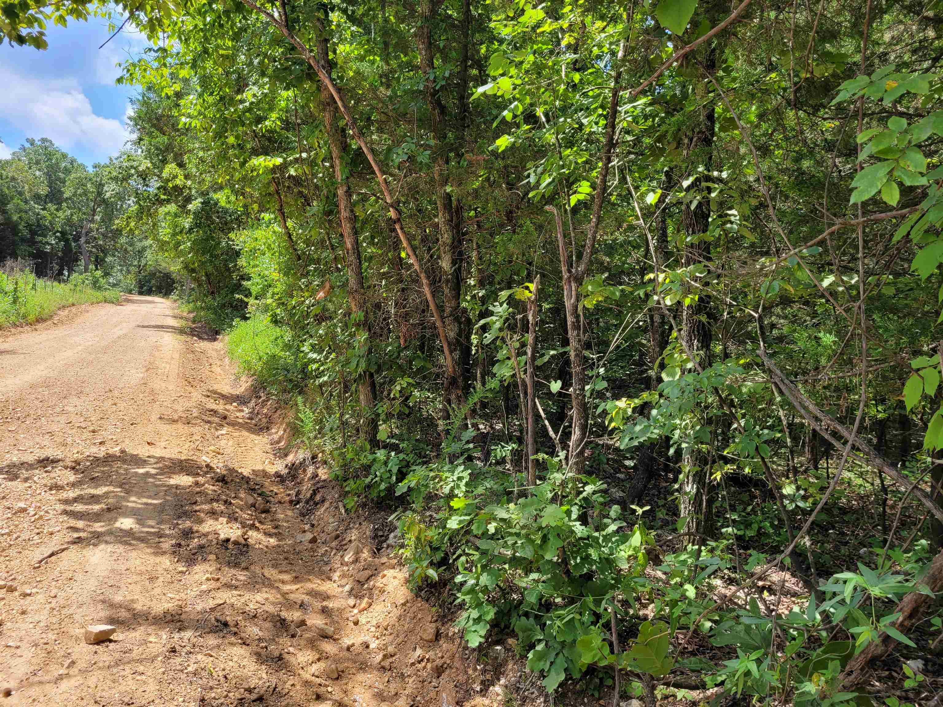 TBD Tall Timber Rd  Hardy, AR