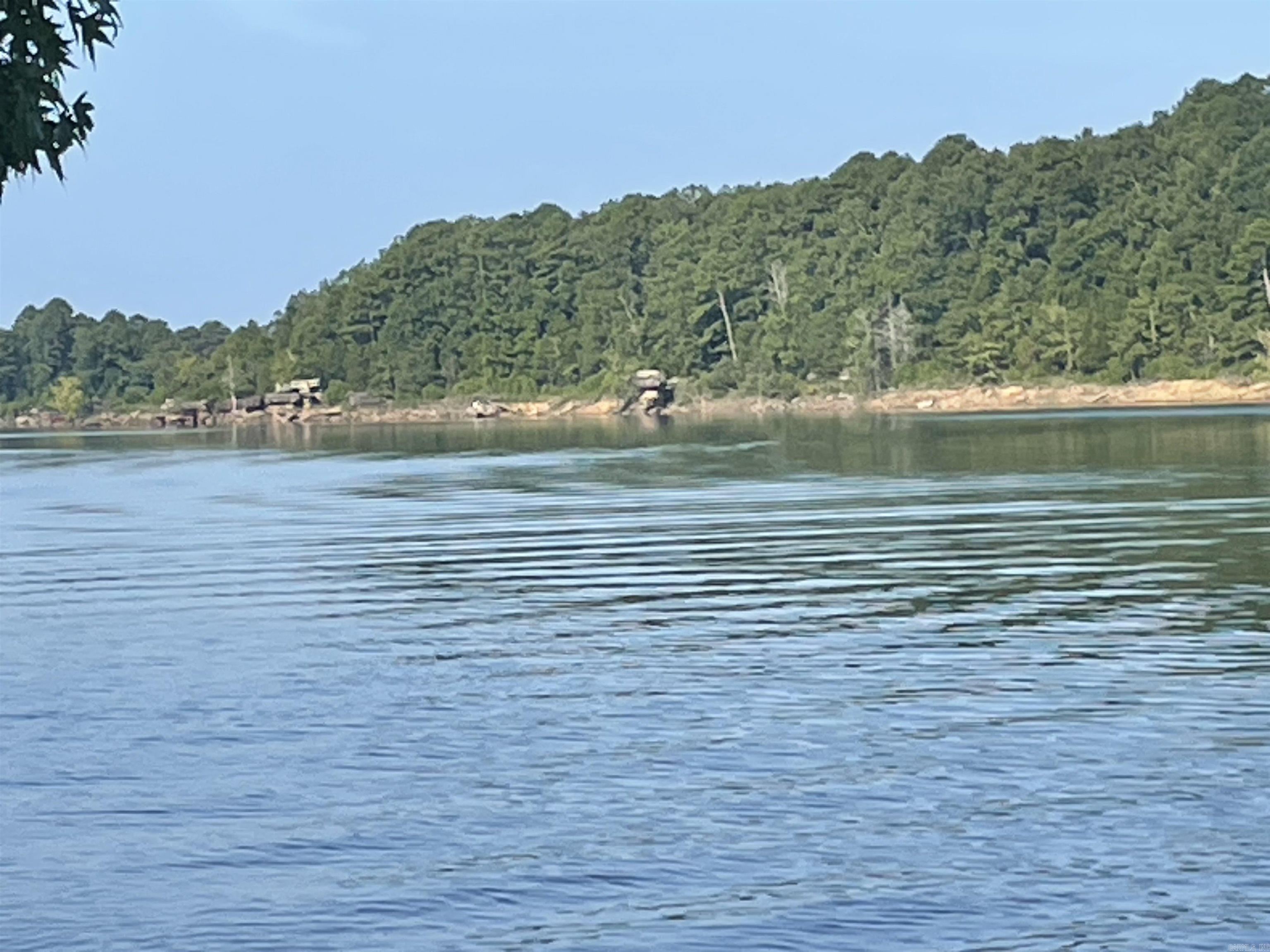 319 Lake Forest Estate  Tumbling Shoals, AR