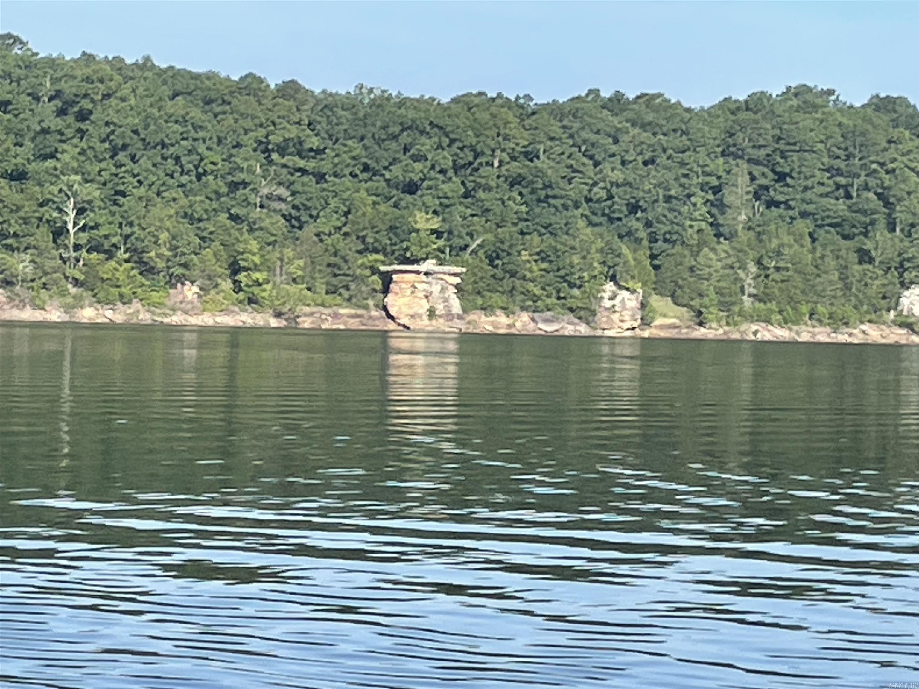 319 Lake Forest Estate  Tumbling Shoals, AR