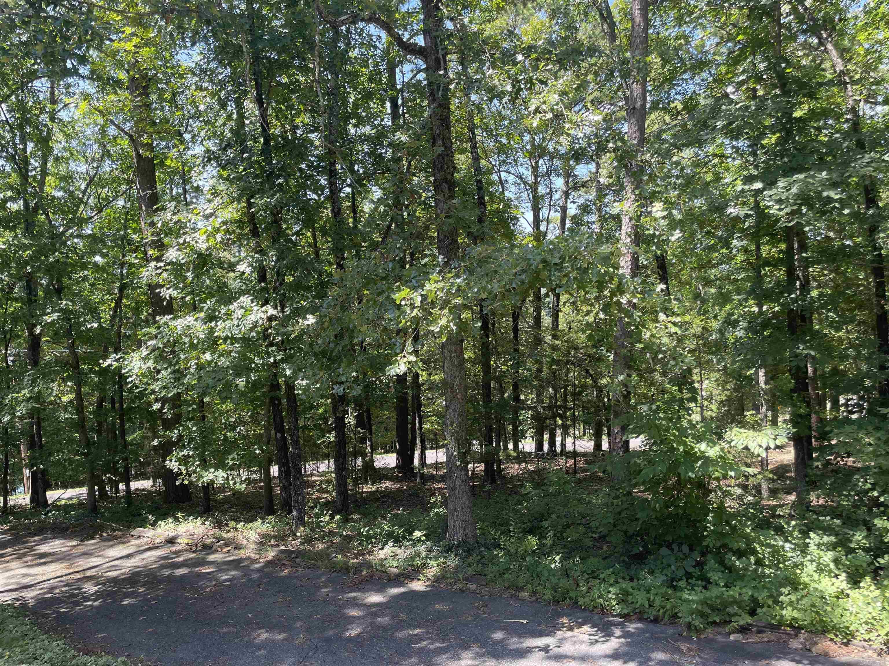 319 Lake Forest Estate  Tumbling Shoals, AR