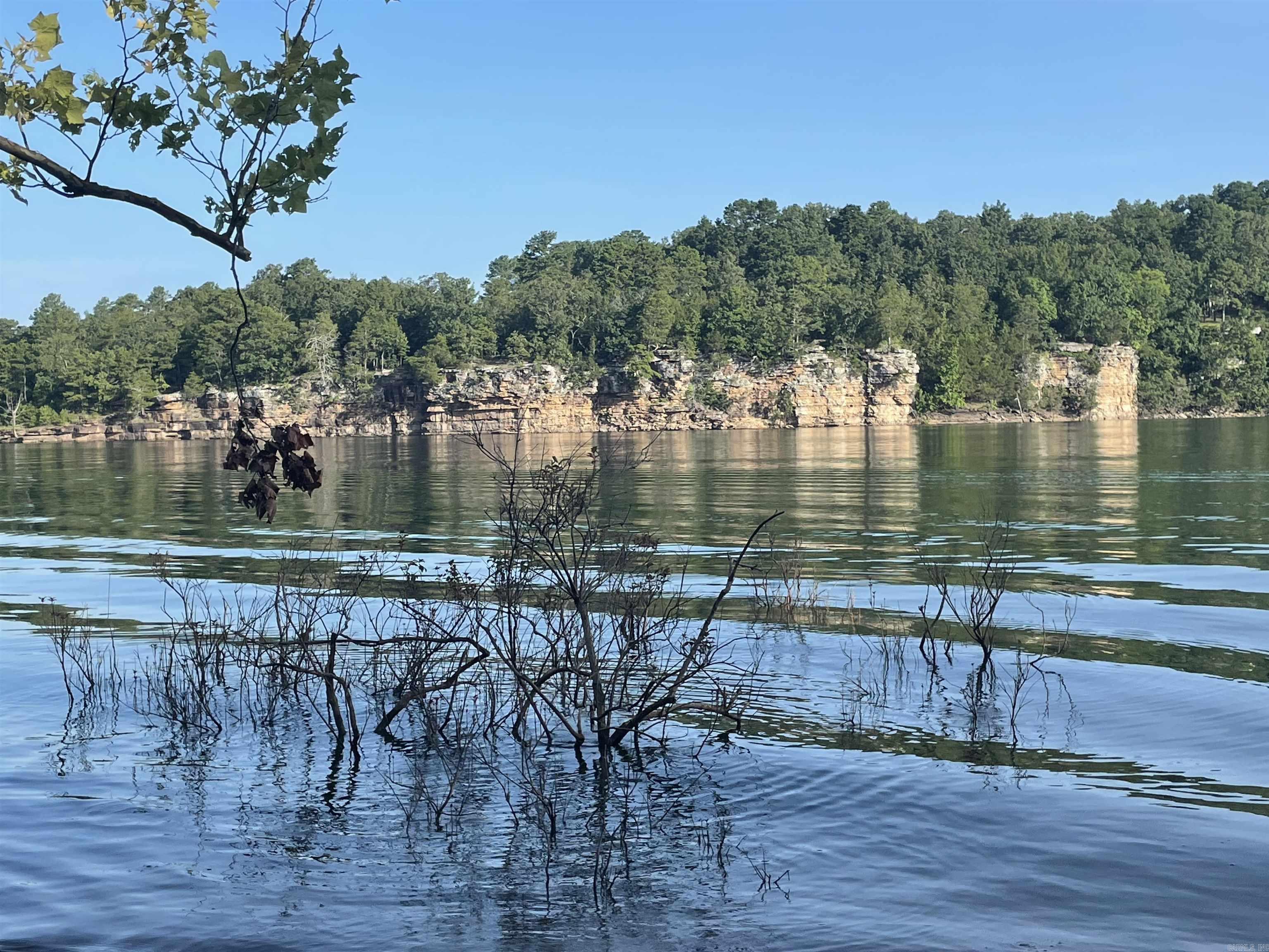 319 Lake Forest Estate  Tumbling Shoals, AR