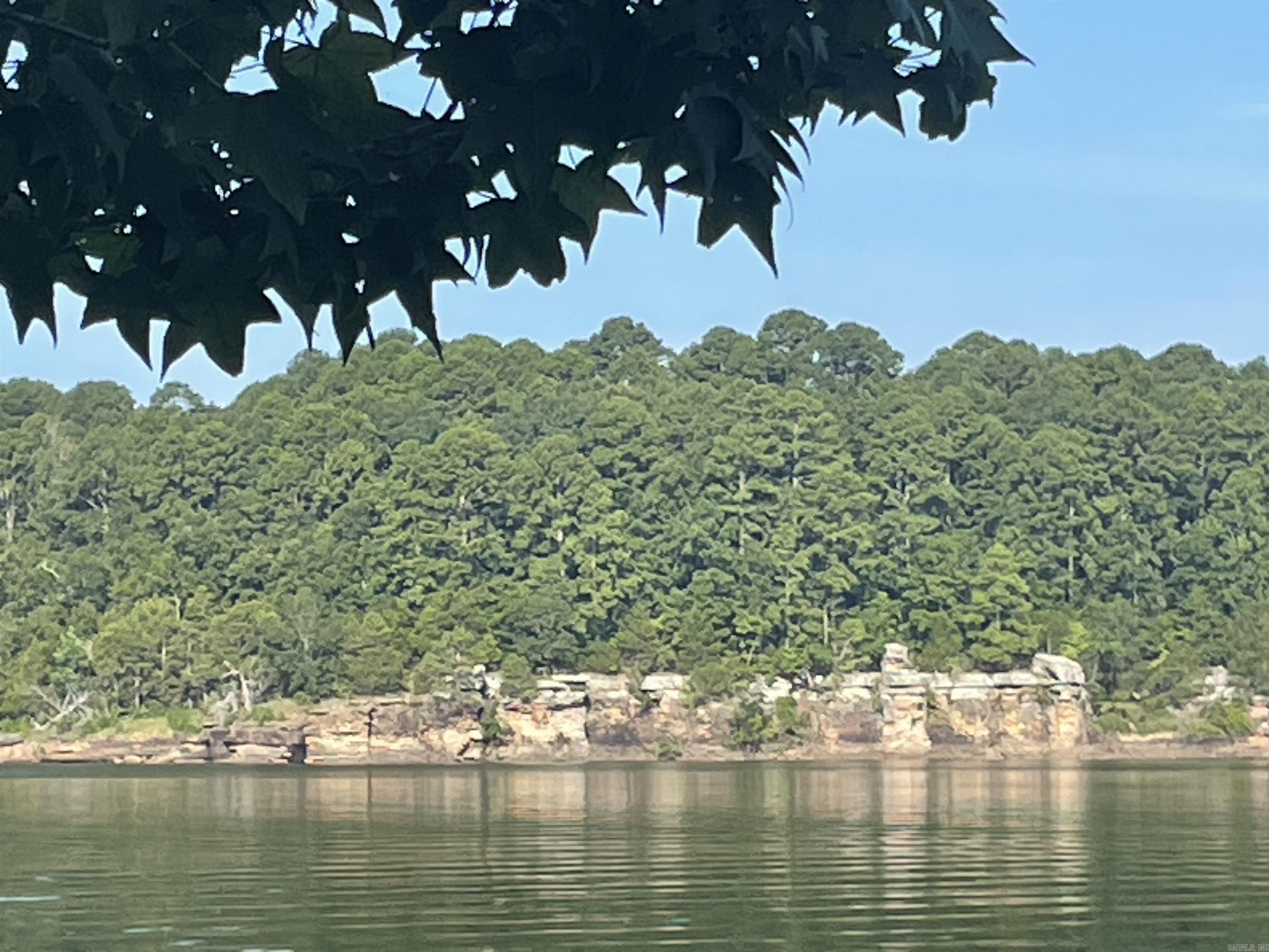 319 Lake Forest Estate  Tumbling Shoals, AR