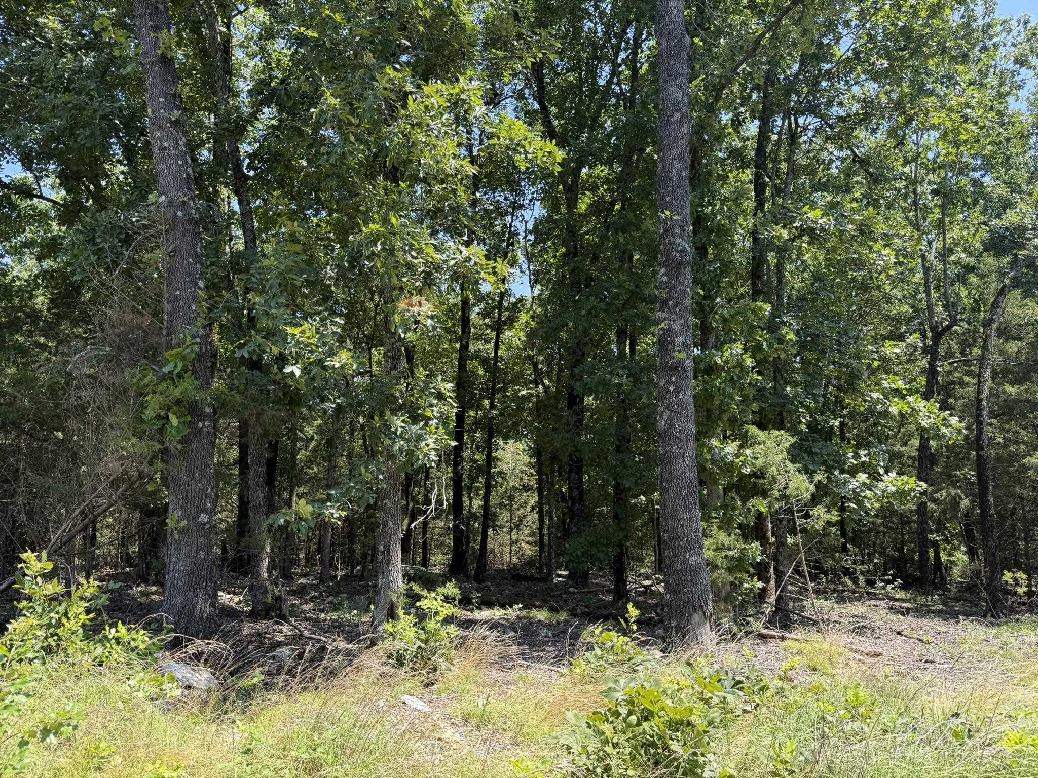 000 Kremer  Franklin, AR