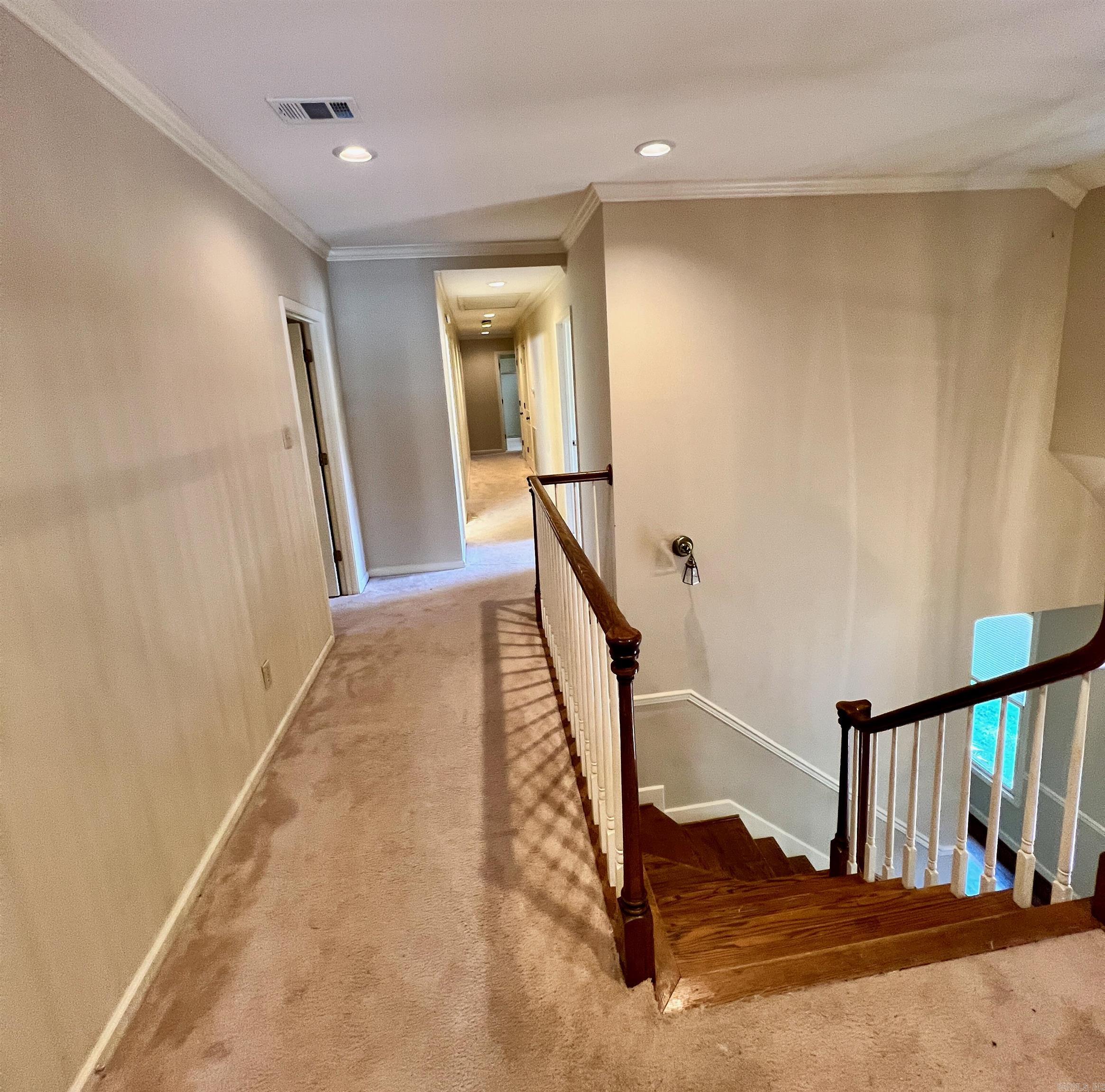 10 Palmetto  Little Rock, AR