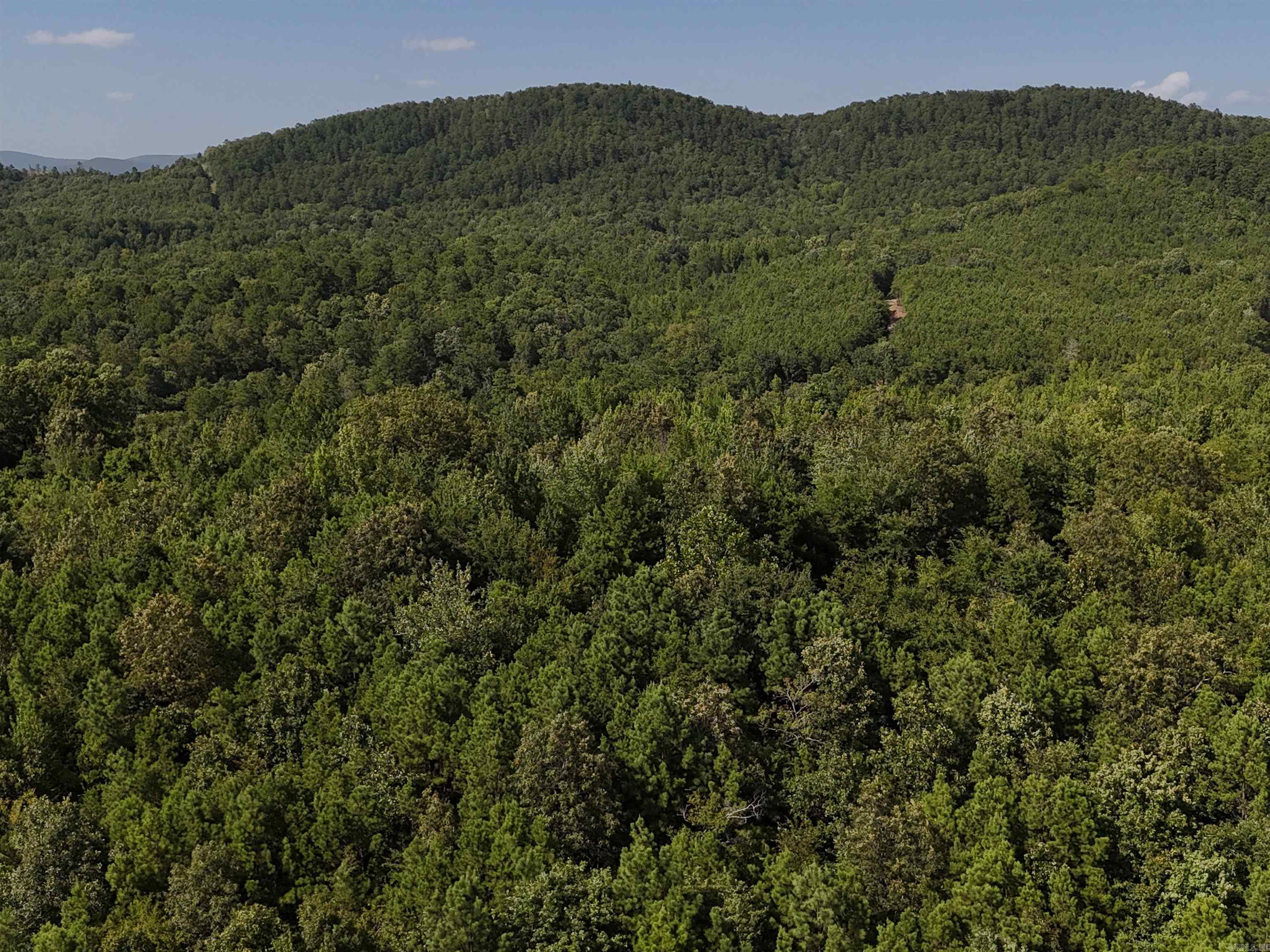 Lot 1 Polk Road 78  Mena, AR