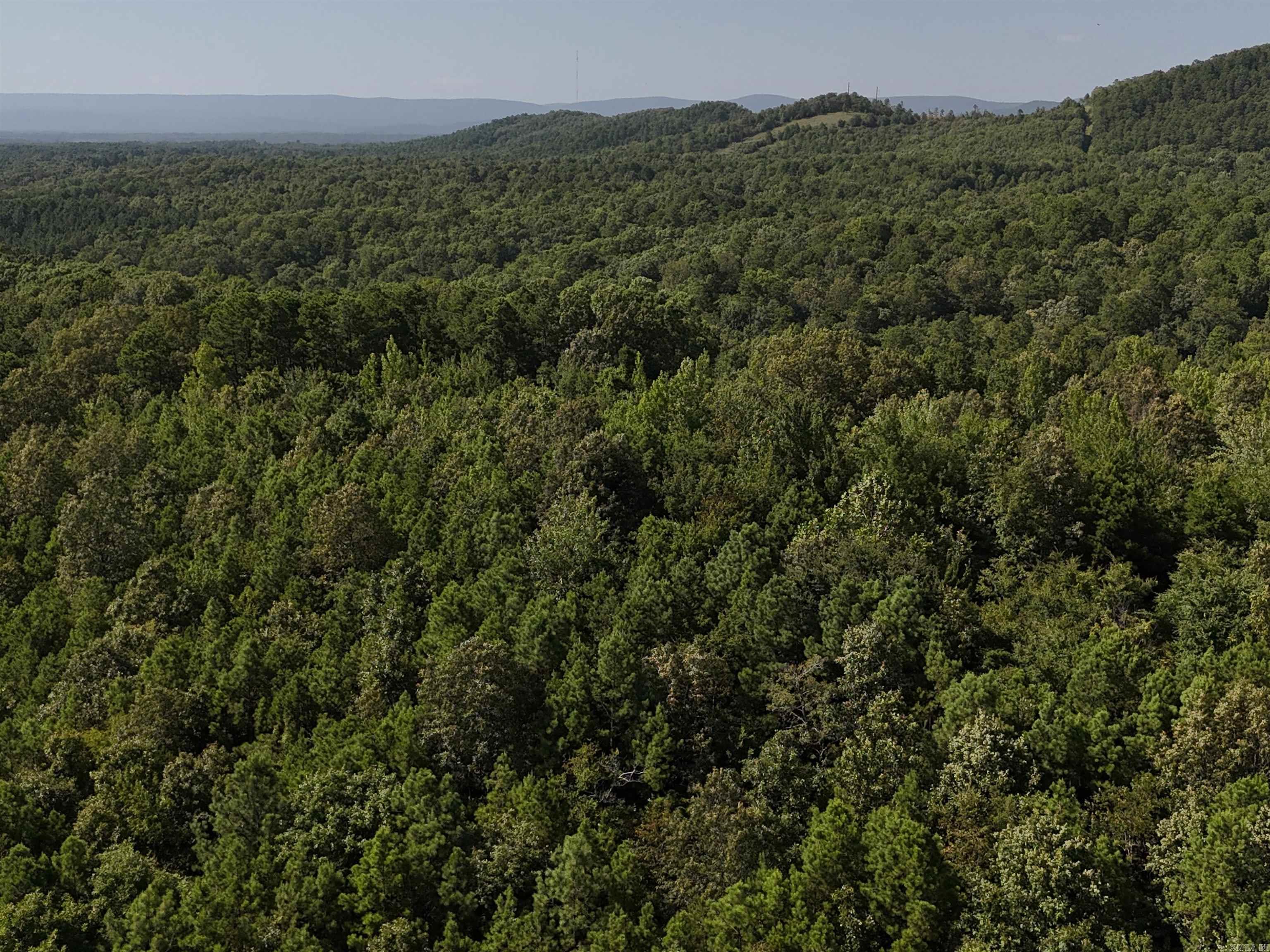 Lot 1 Polk Road 78  Mena, AR