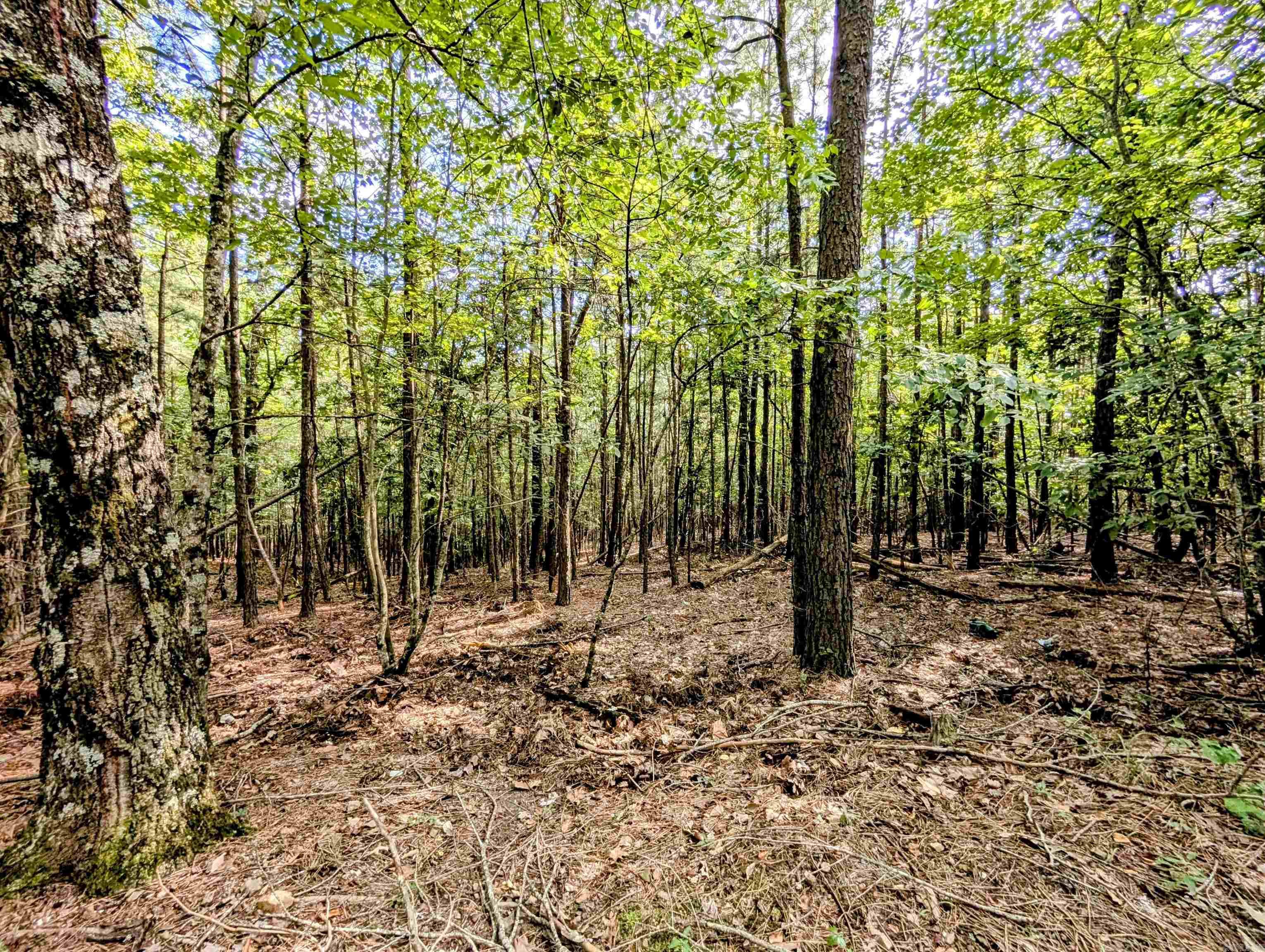 Lot 1 Polk Road 78  Mena, AR