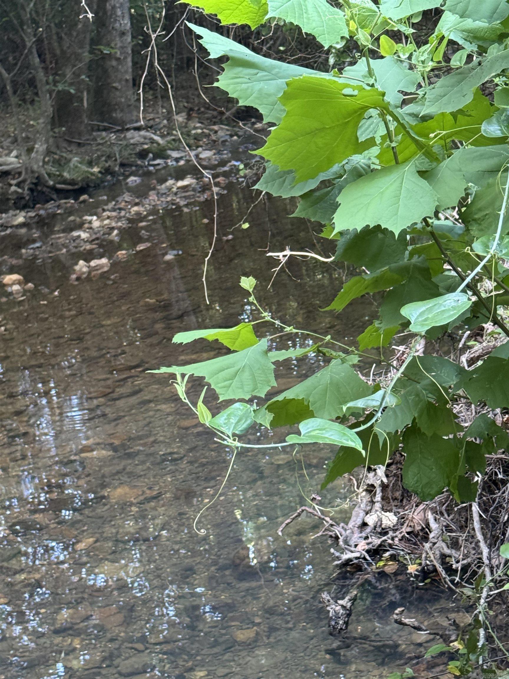 246 HWY 240 W  Caddo Gap, AR