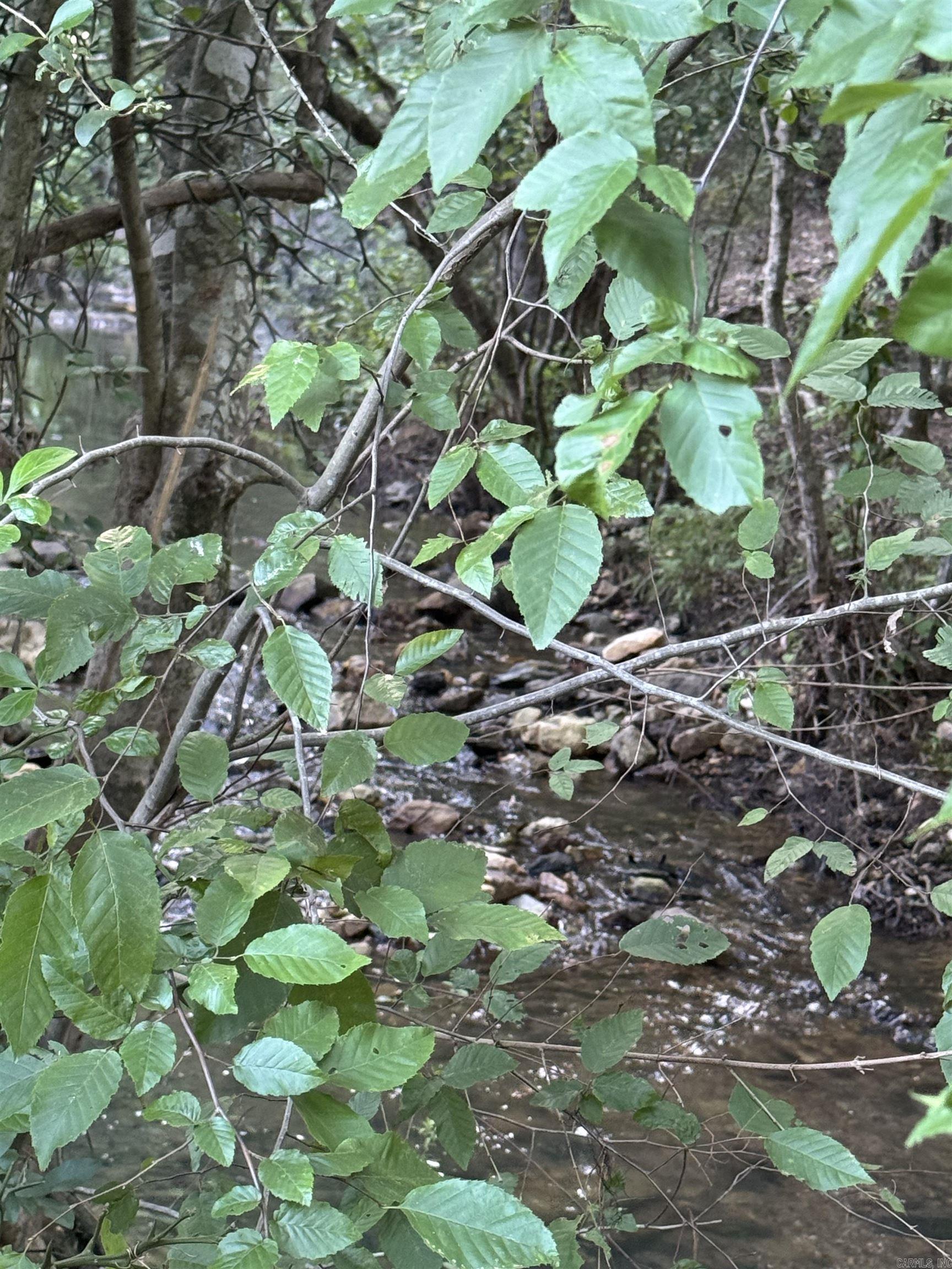 246 HWY 240 W  Caddo Gap, AR