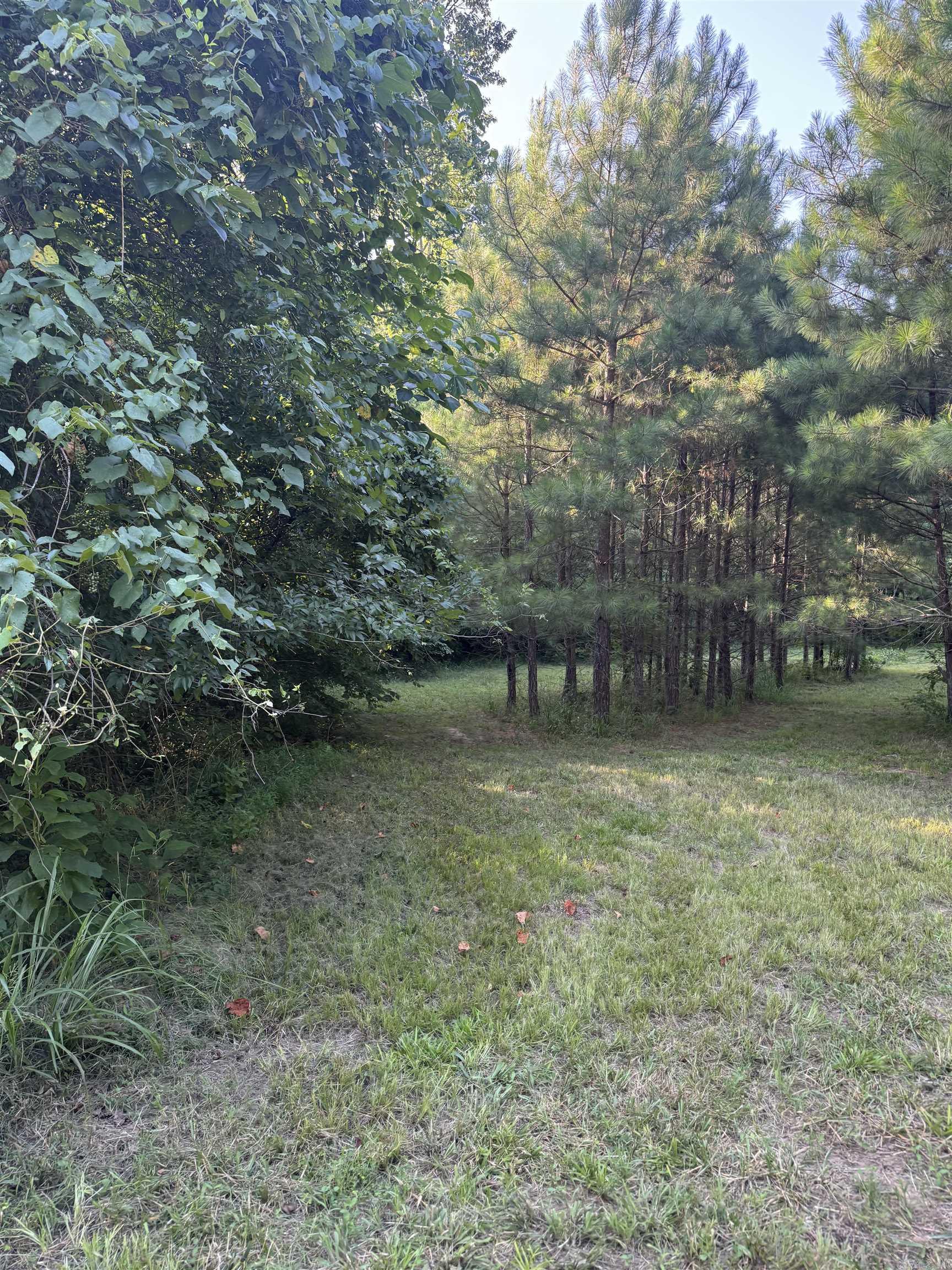 246 HWY 240 W  Caddo Gap, AR