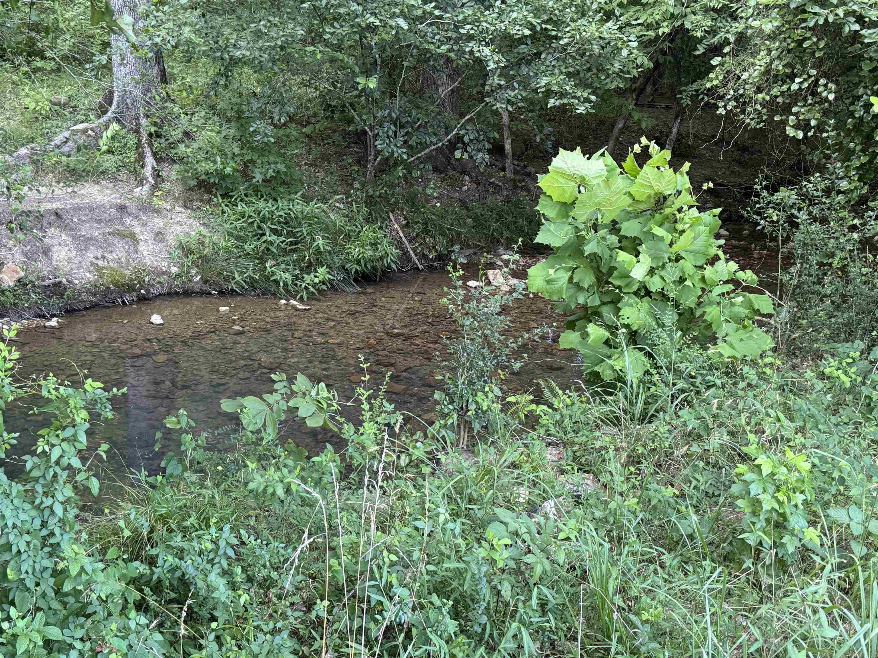 246 HWY 240 W  Caddo Gap, AR