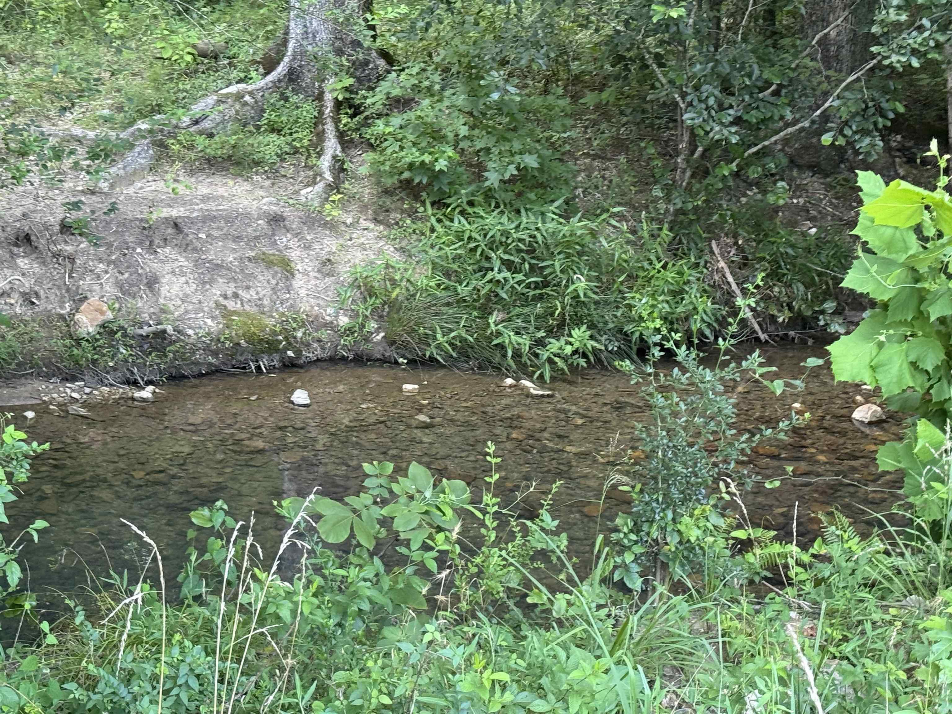 246 HWY 240 W  Caddo Gap, AR
