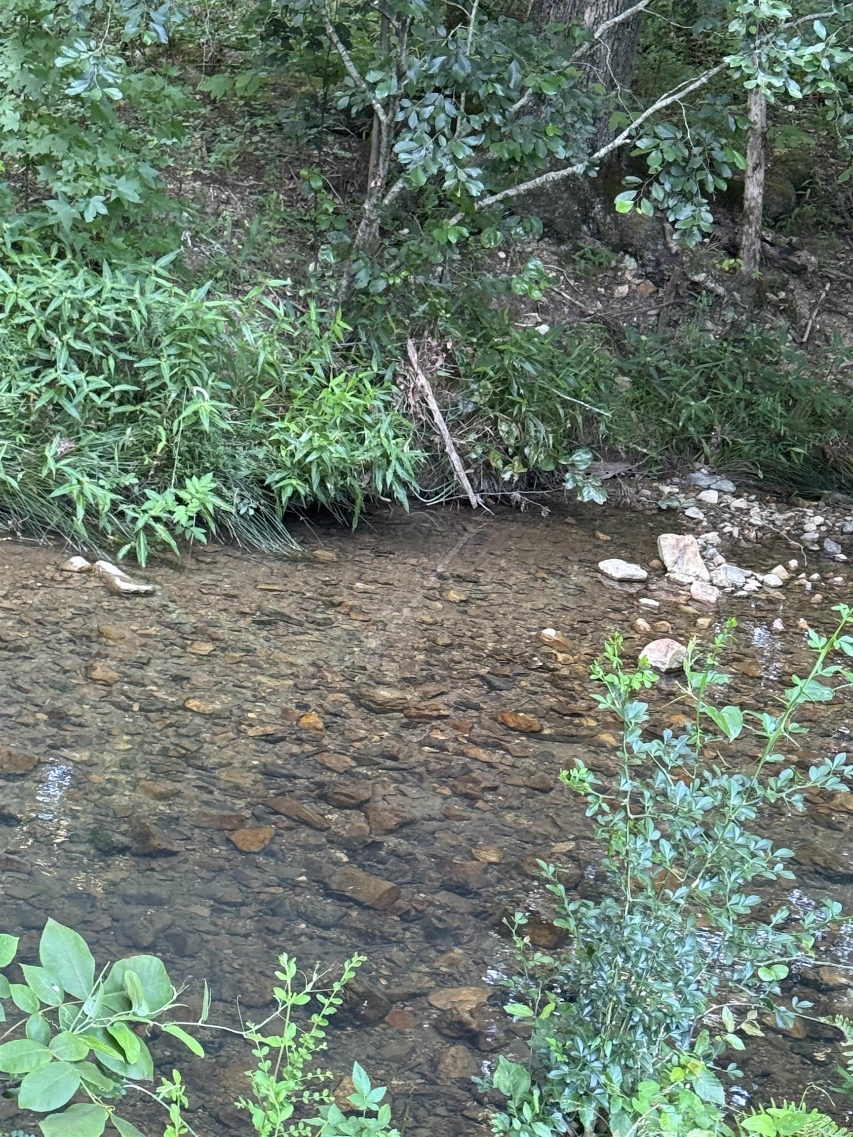 246 HWY 240 W  Caddo Gap, AR