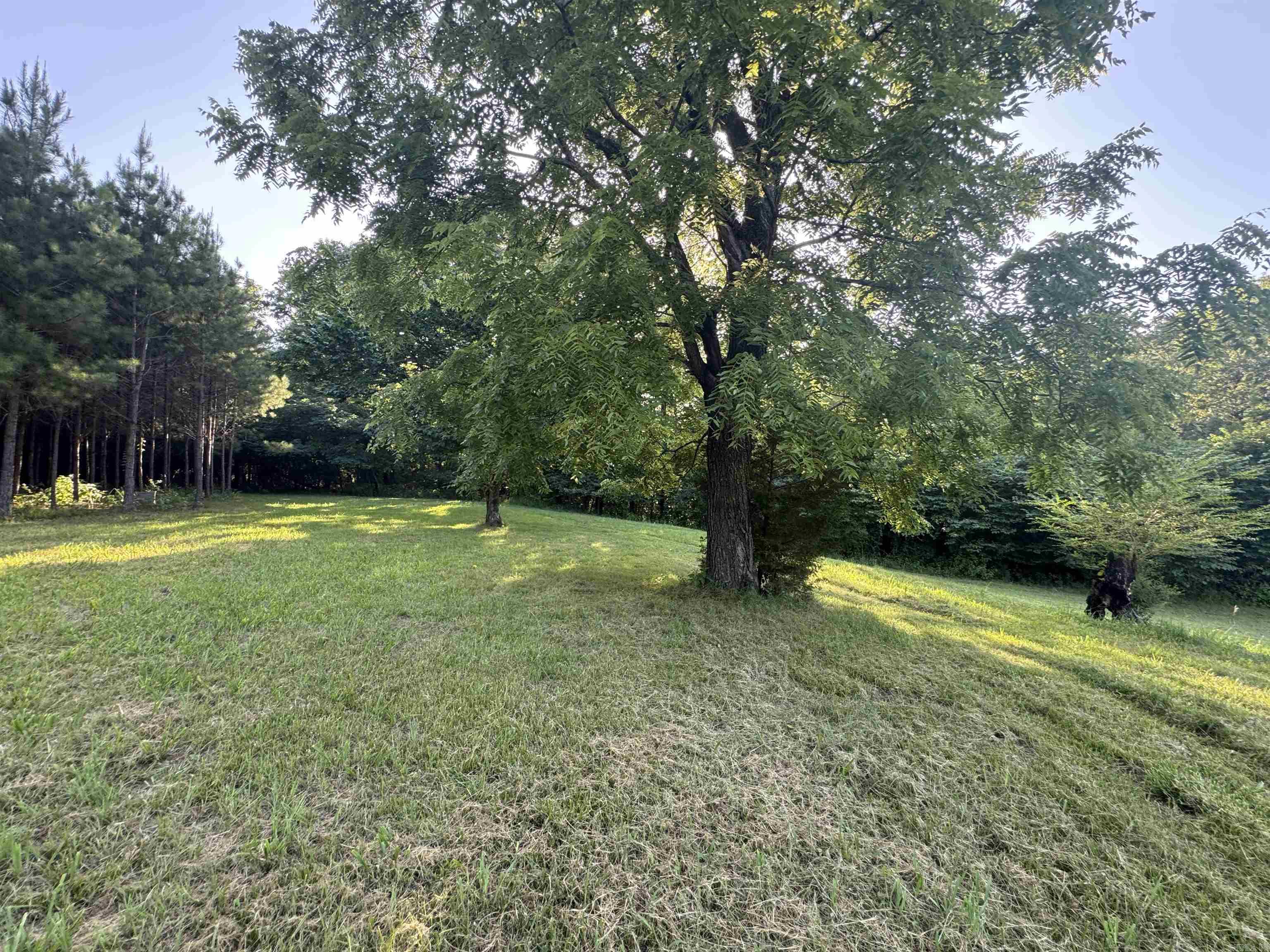 246 HWY 240 W  Caddo Gap, AR