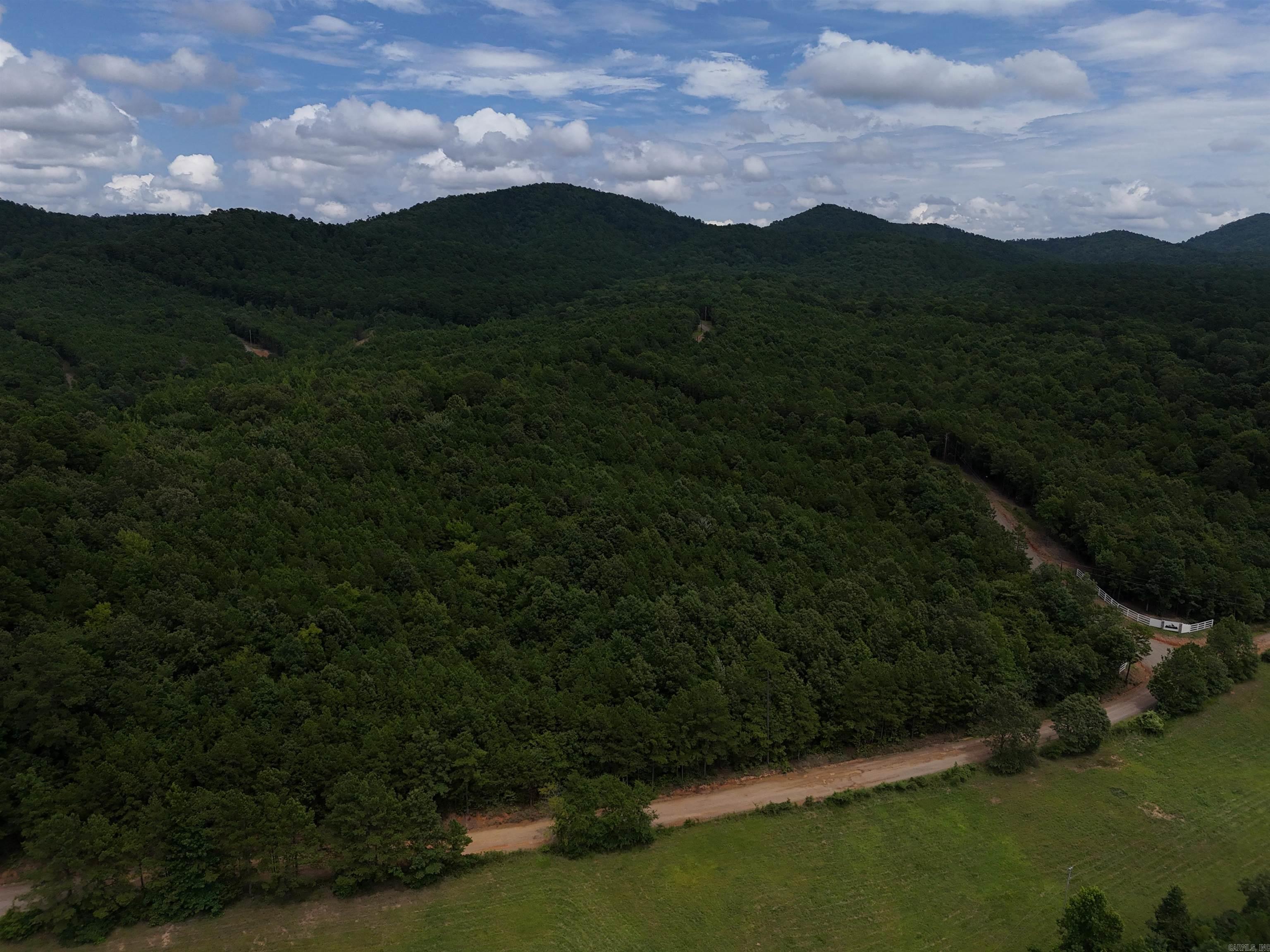 Lot 2 Polk Road 78  Mena, AR