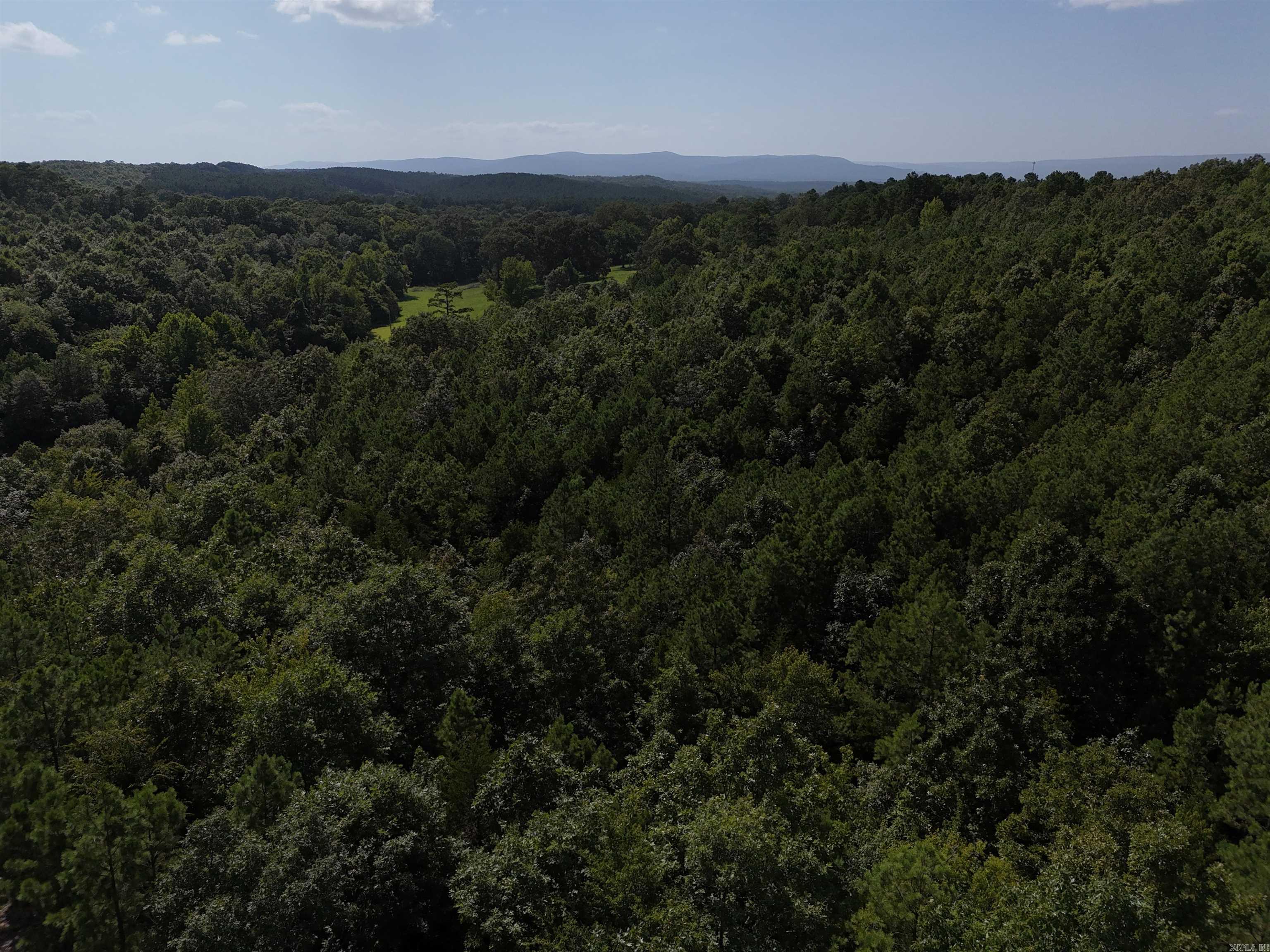 Lot 2 Polk Road 78  Mena, AR