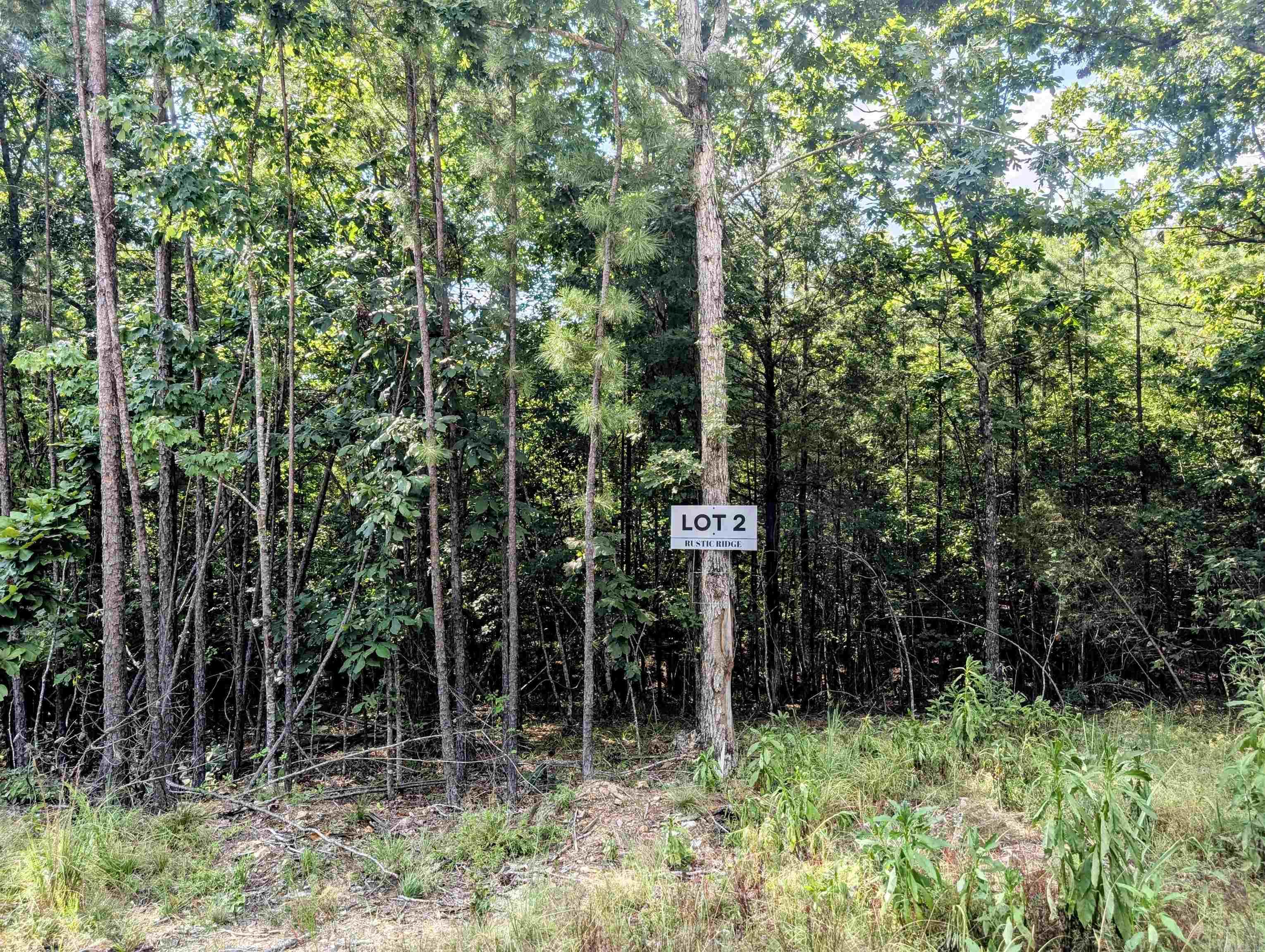 Lot 2 Polk Road 78  Mena, AR