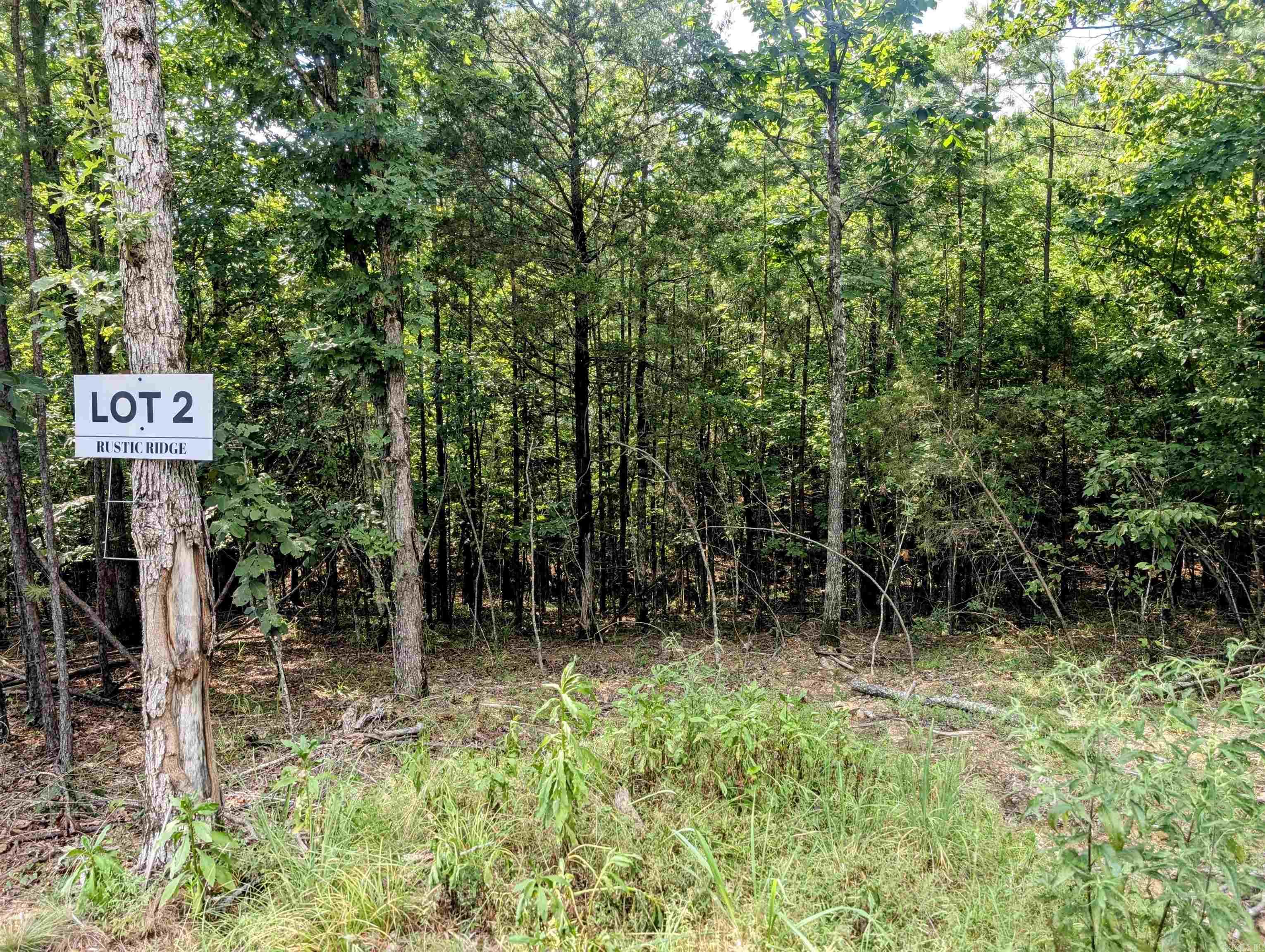 Lot 2 Polk Road 78  Mena, AR