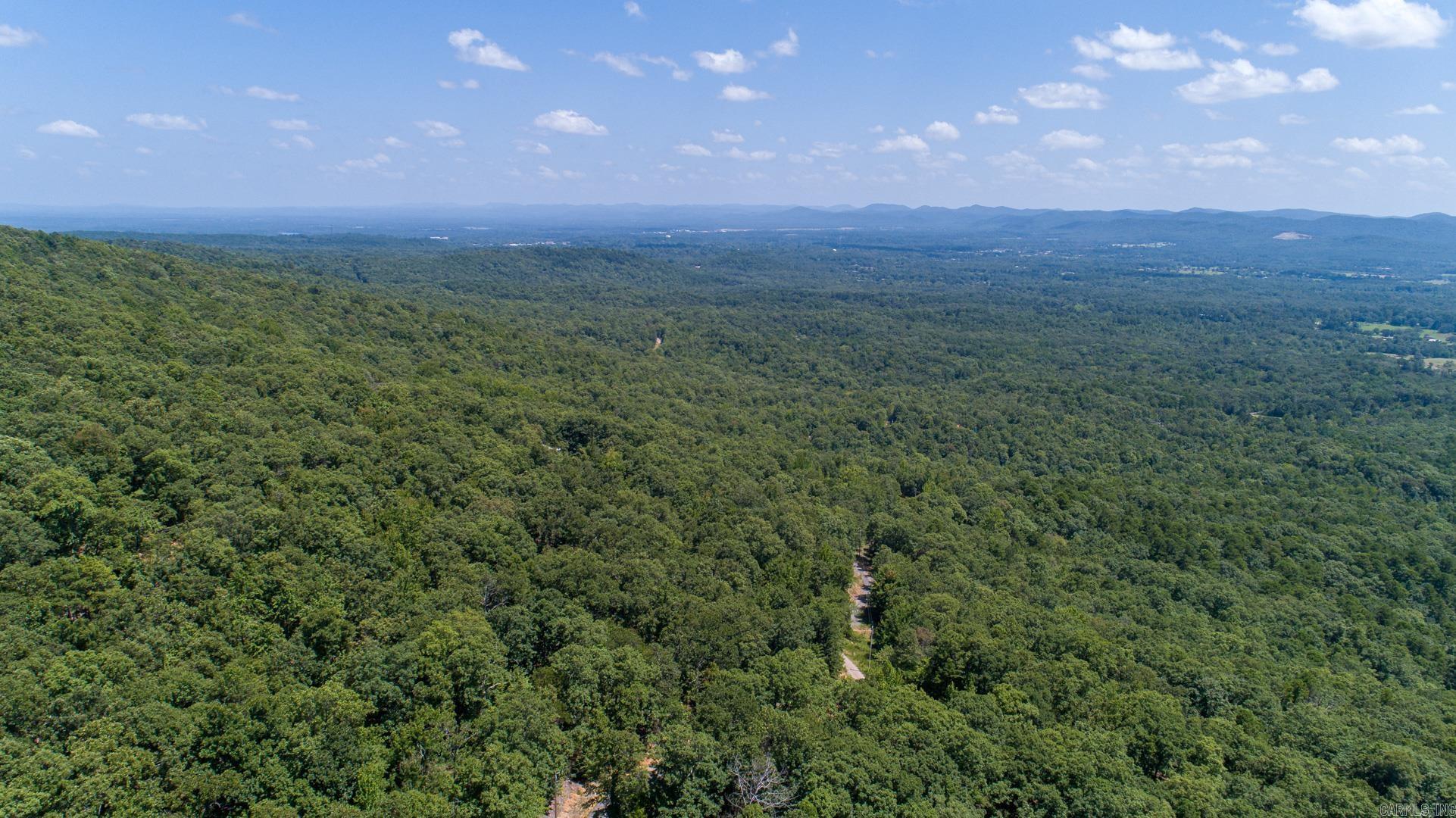 193 Shanendoah  Mena, AR