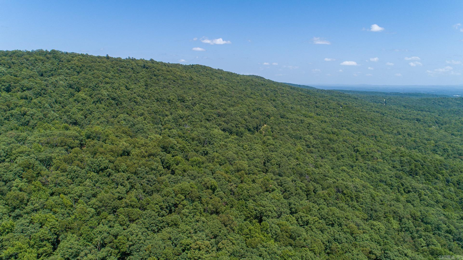 193 Shanendoah  Mena, AR