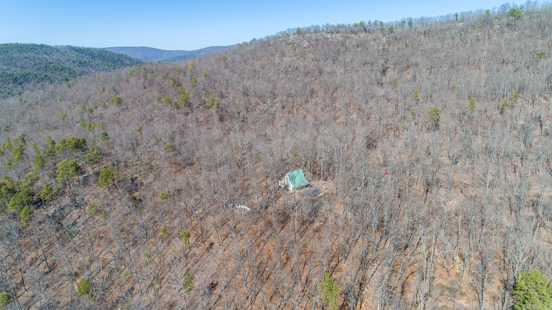 193 Shanendoah  Mena, AR