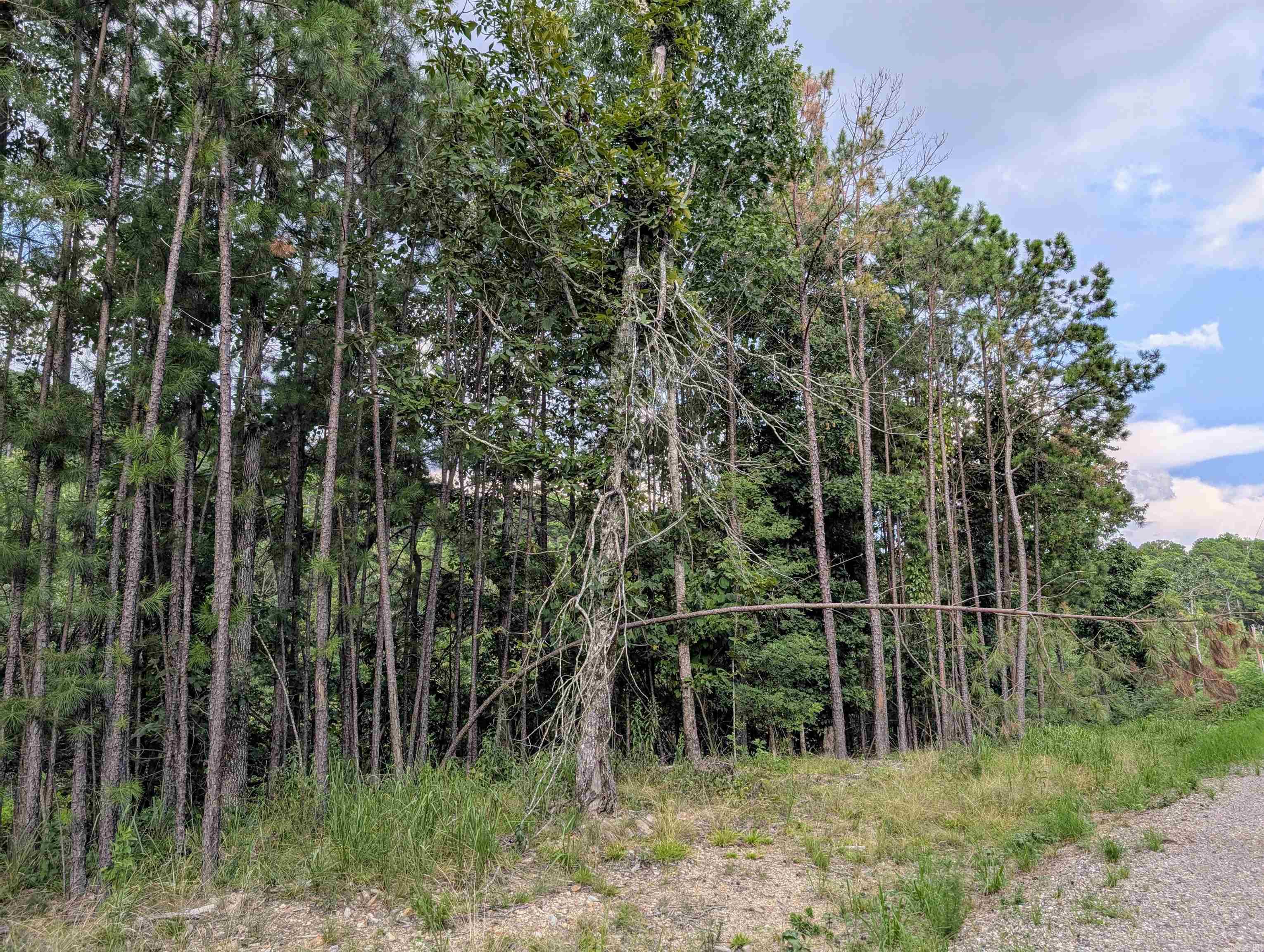 Lot 3 Polk Road 78  Mena, AR