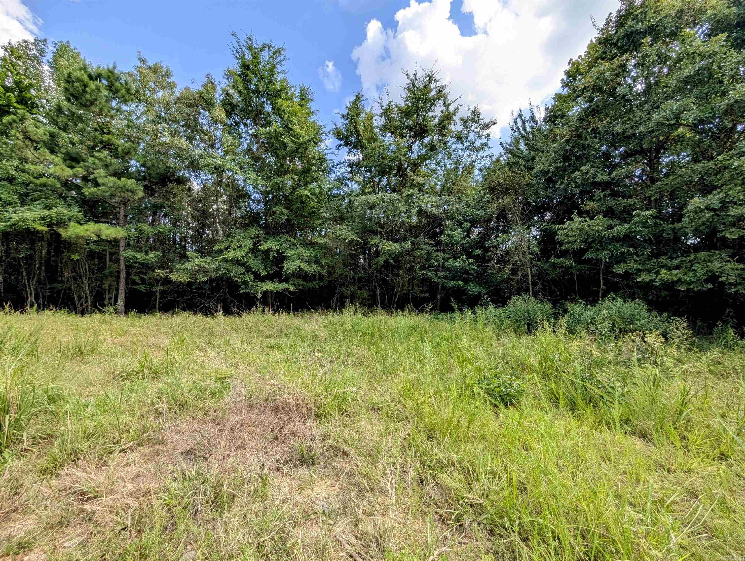 Lot 3 Polk Road 78  Mena, AR