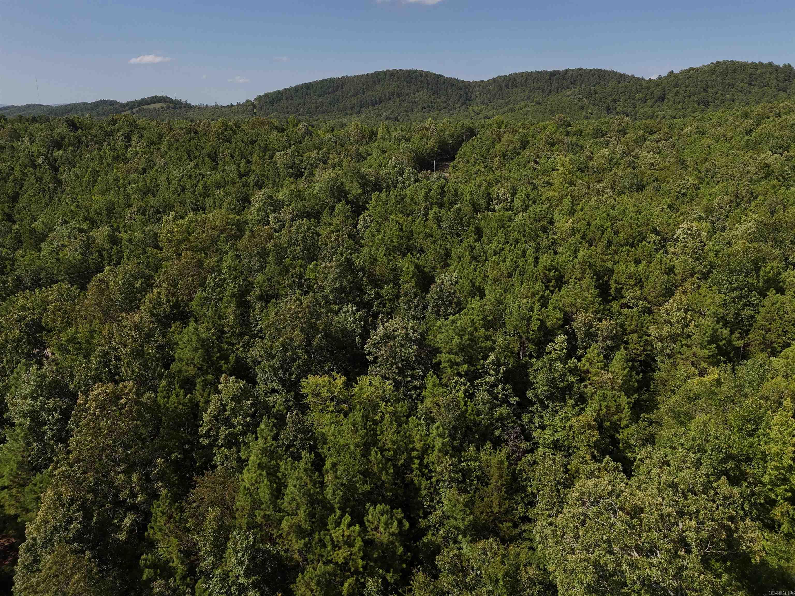 Lot 4 Polk Road 78  Mena, AR