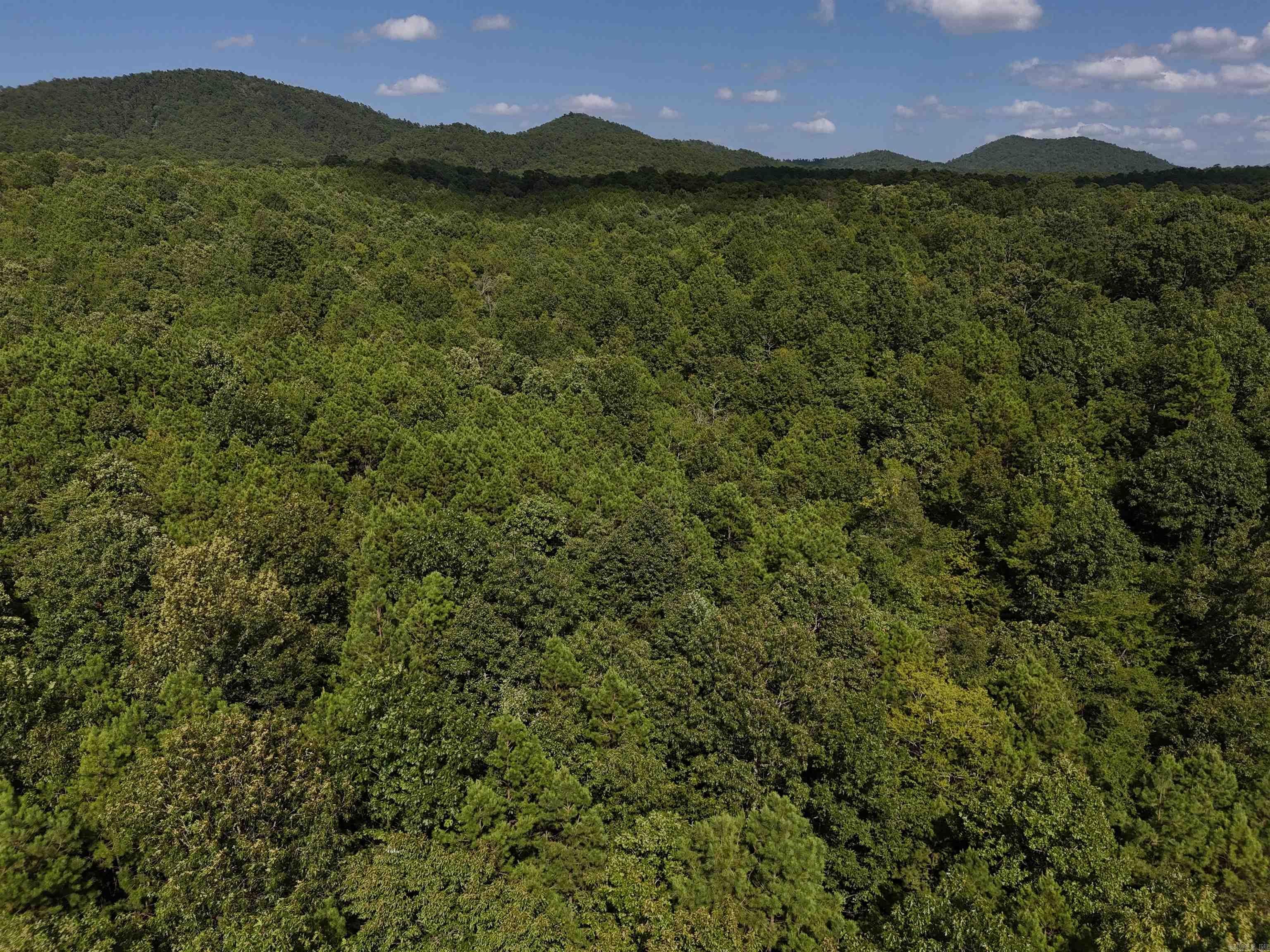 Lot 4 Polk Road 78  Mena, AR