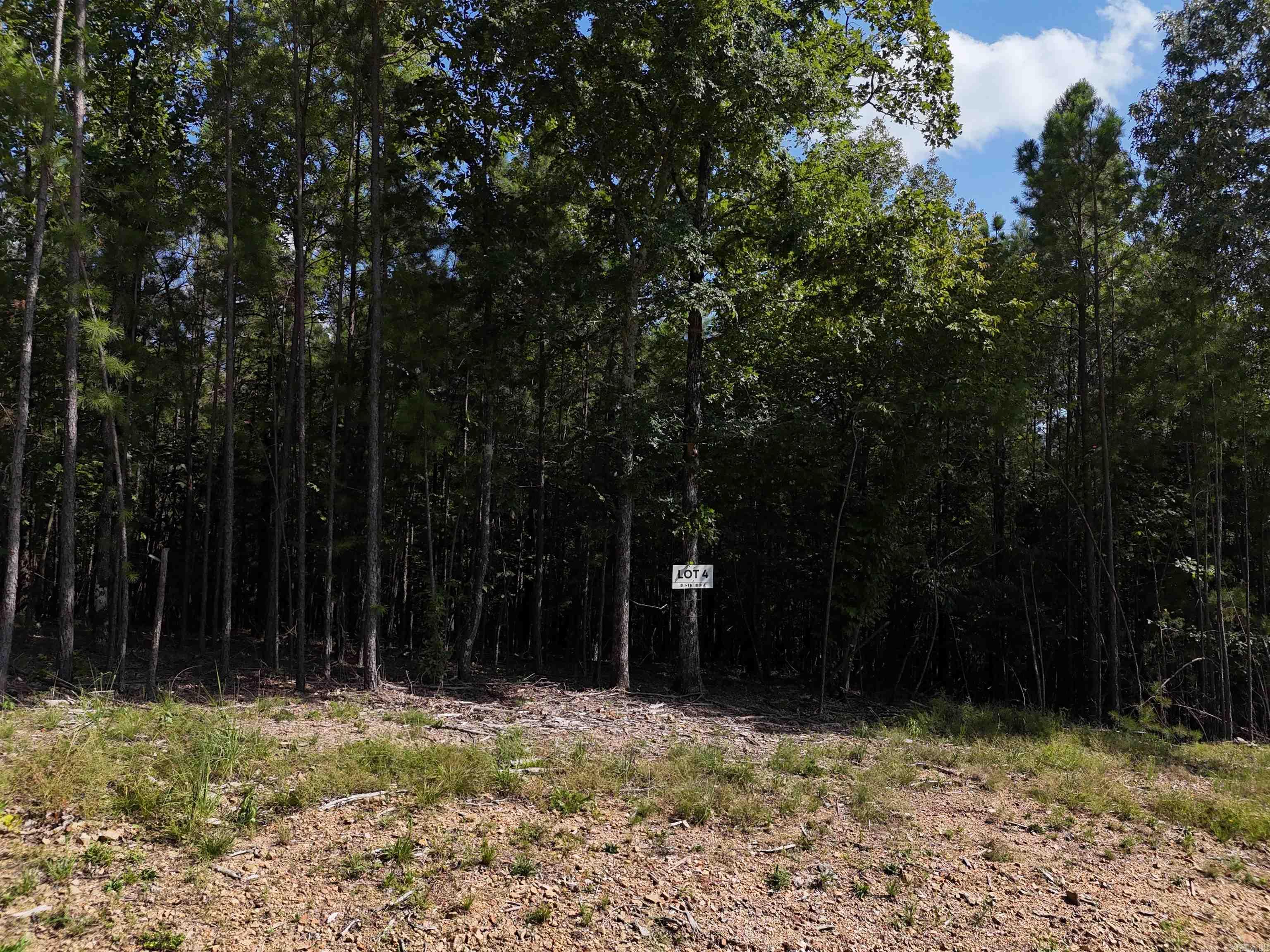 Lot 4 Polk Road 78  Mena, AR