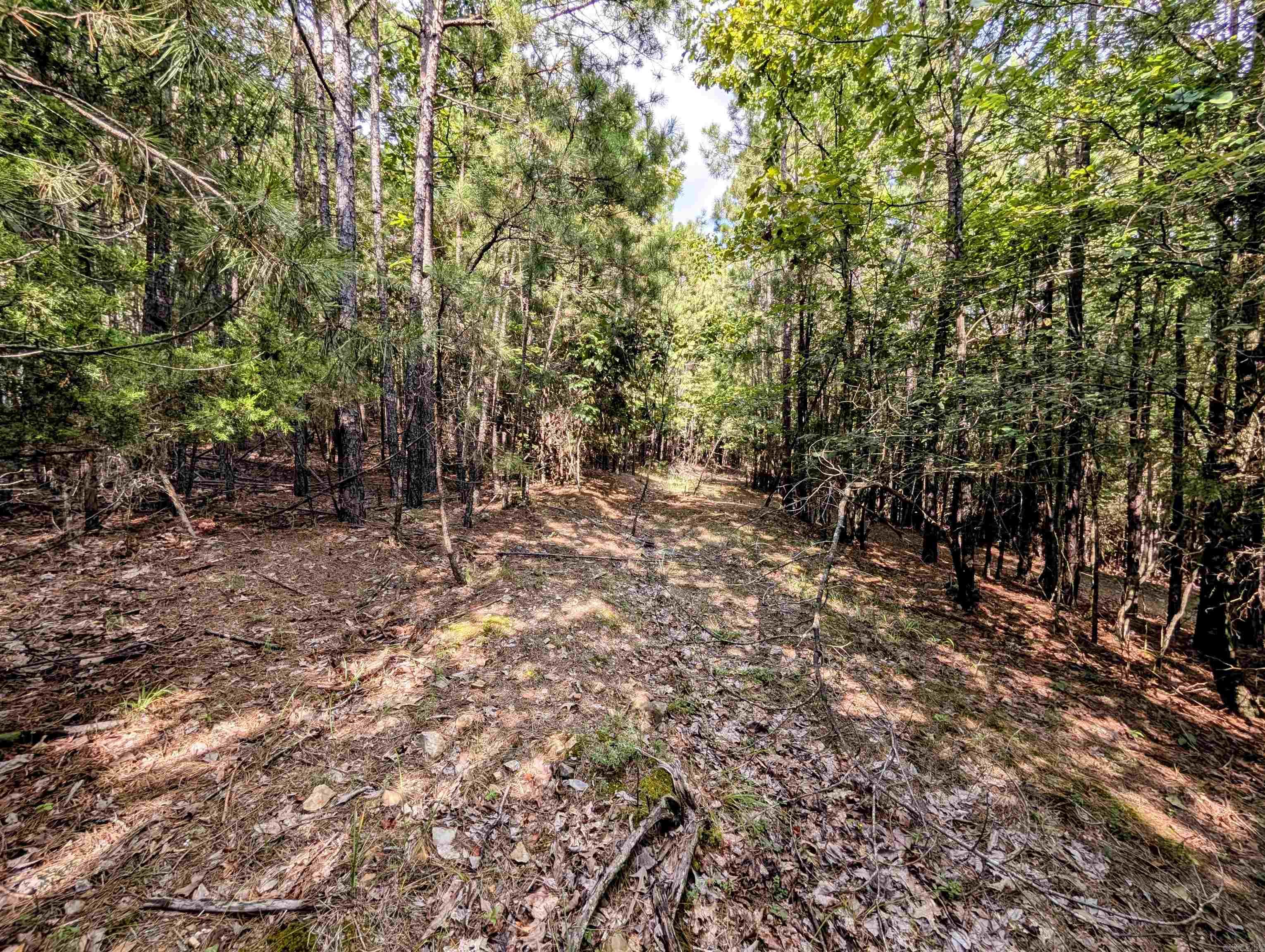 Lot 4 Polk Road 78  Mena, AR