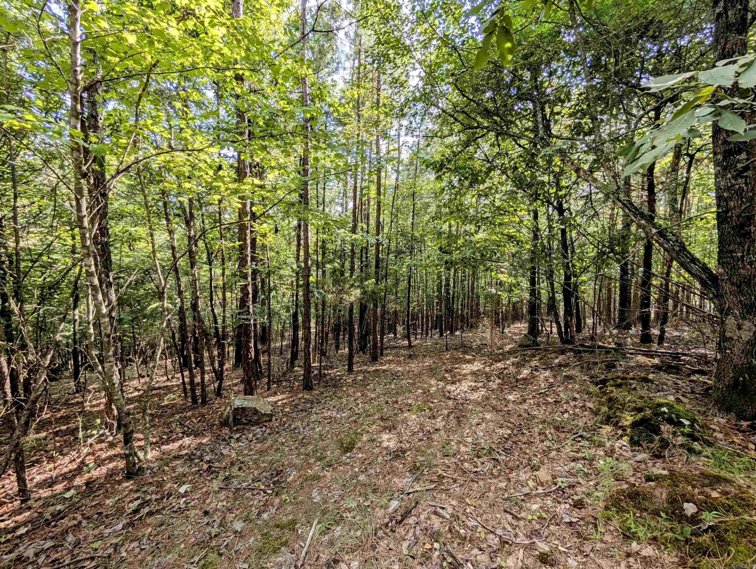 Lot 4 Polk Road 78  Mena, AR