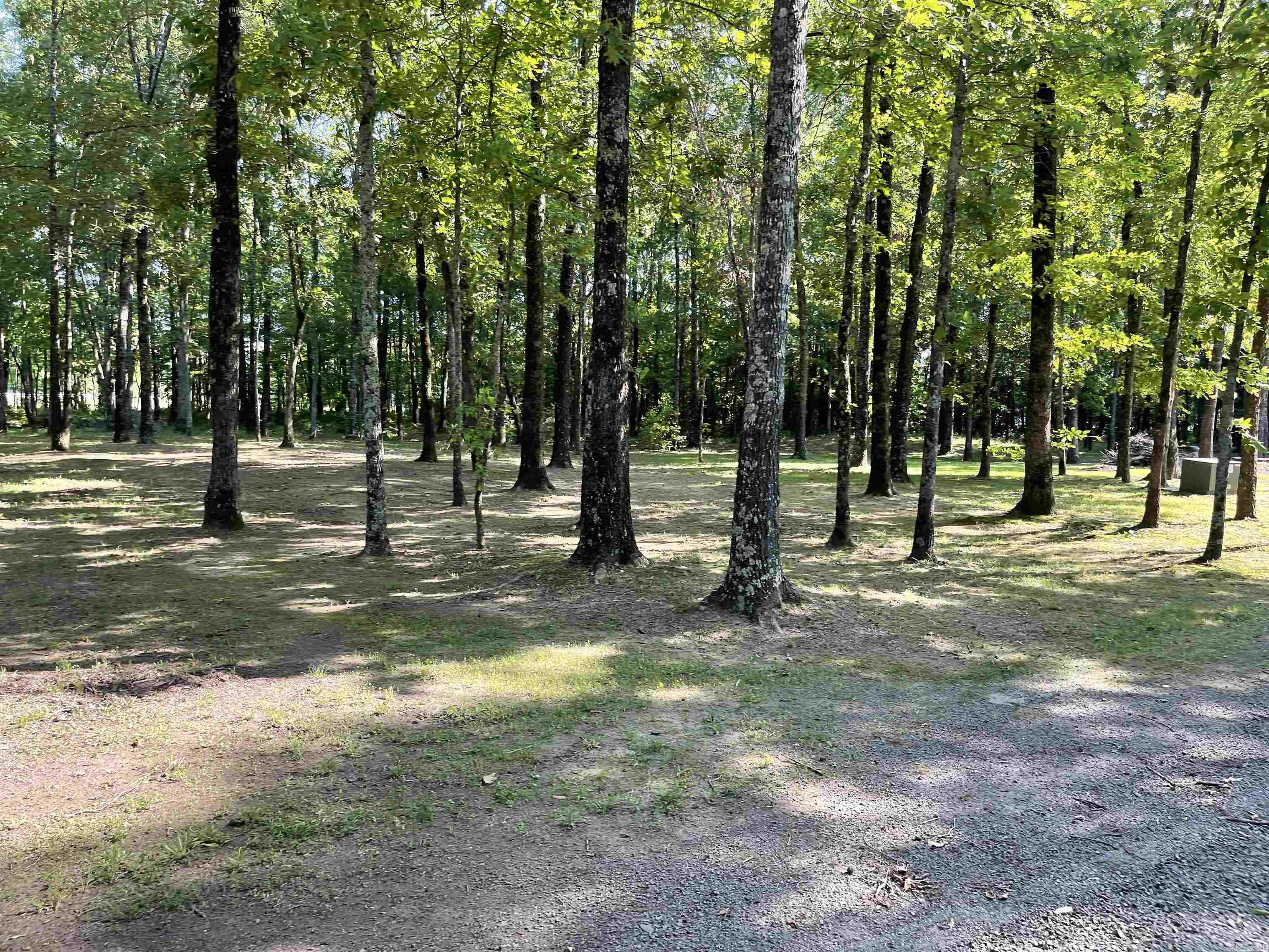 37 Cattle Creek  Vilonia, AR