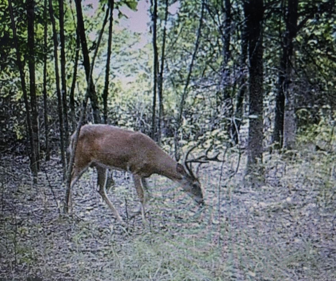 000 Jackson 318  Newport, AR