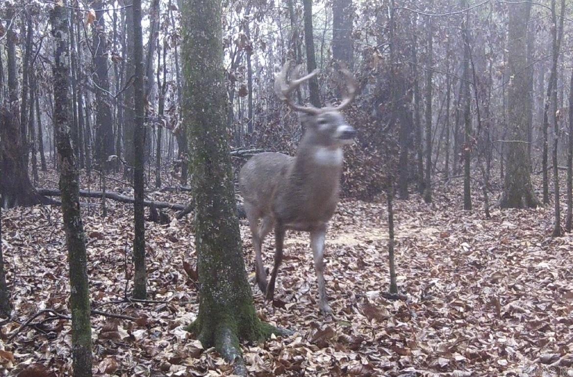 000 Jackson 318  Newport, AR