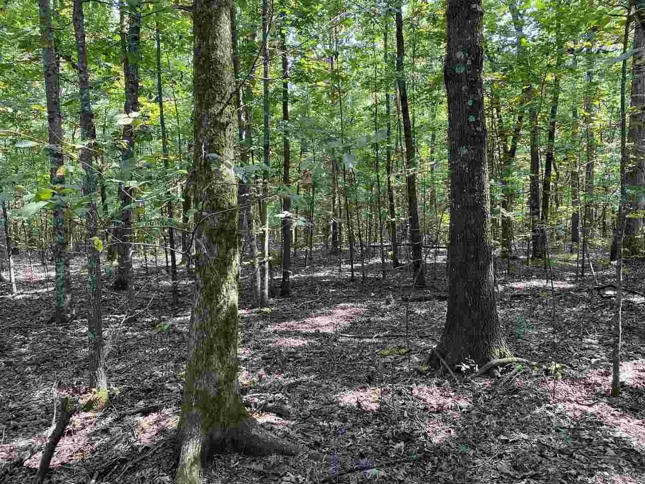 000 Jackson 318  Newport, AR