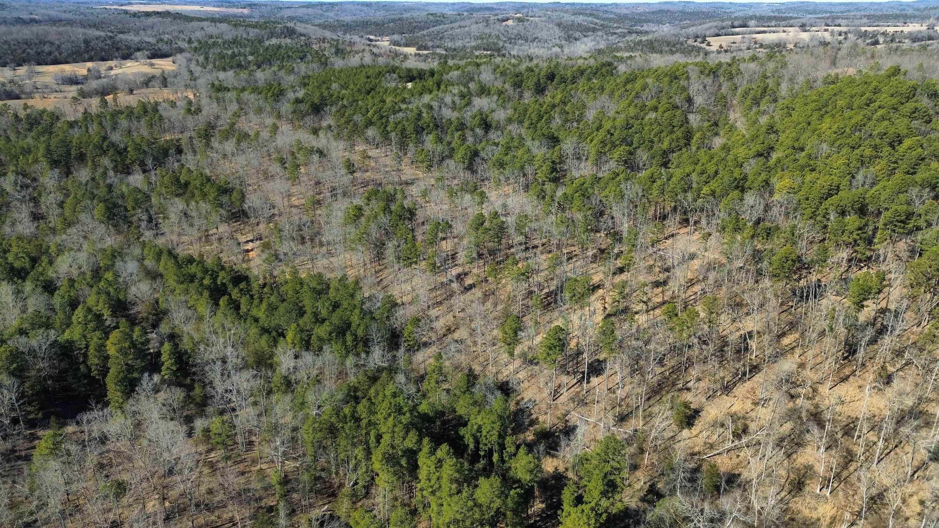 275A Campground Road  Wideman, AR