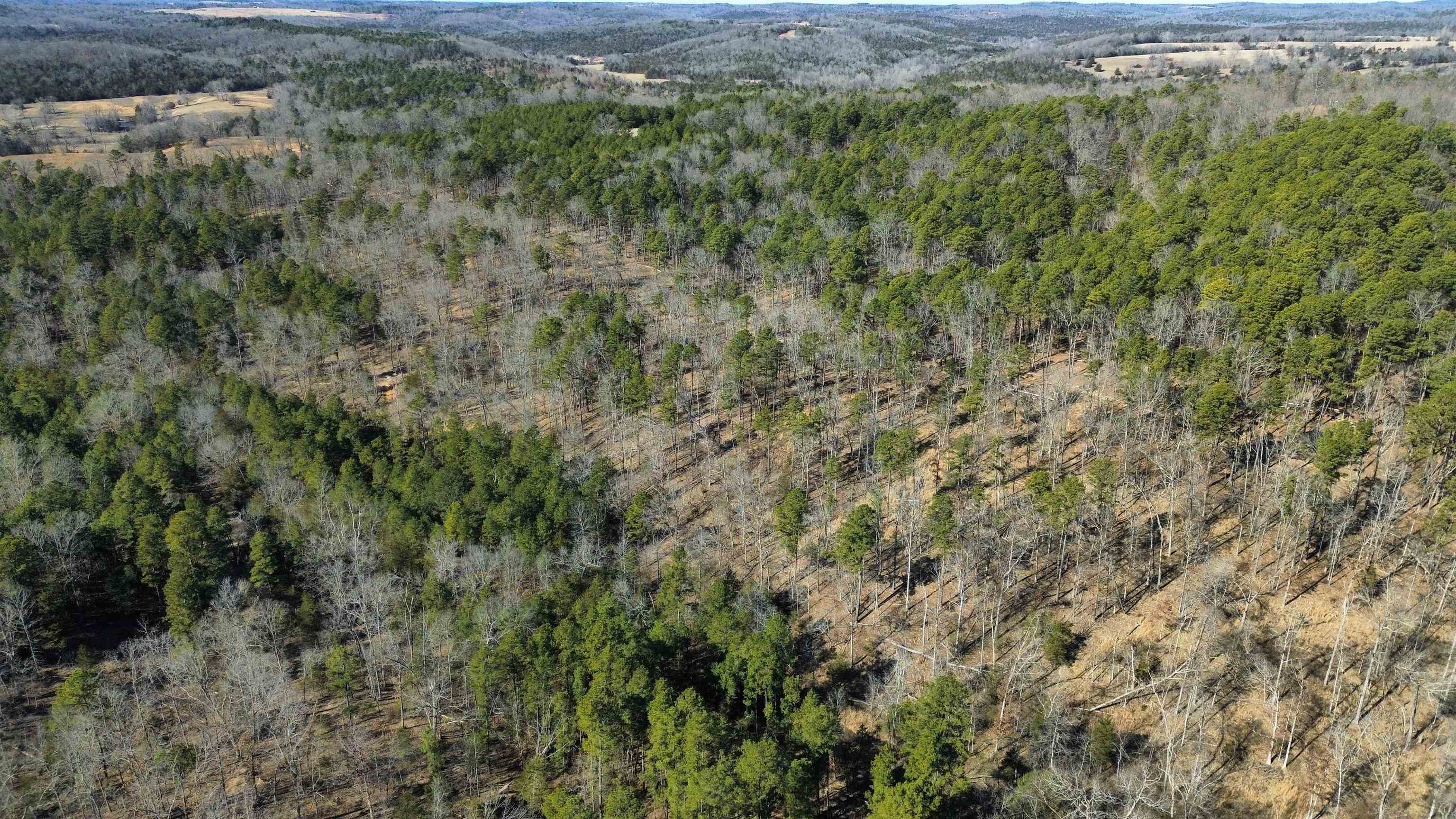 275A Campground Road  Wideman, AR
