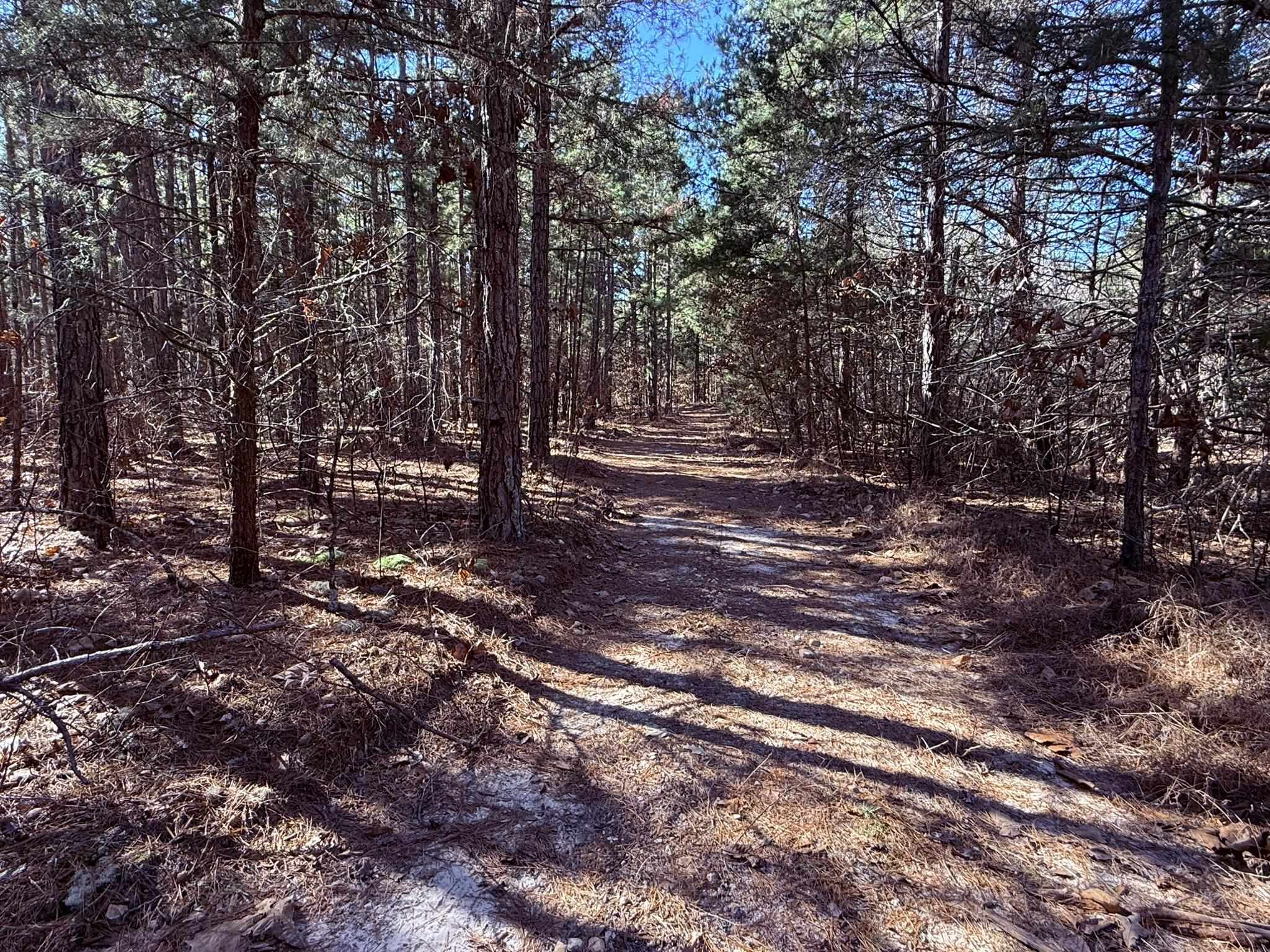 275A Campground Road  Wideman, AR