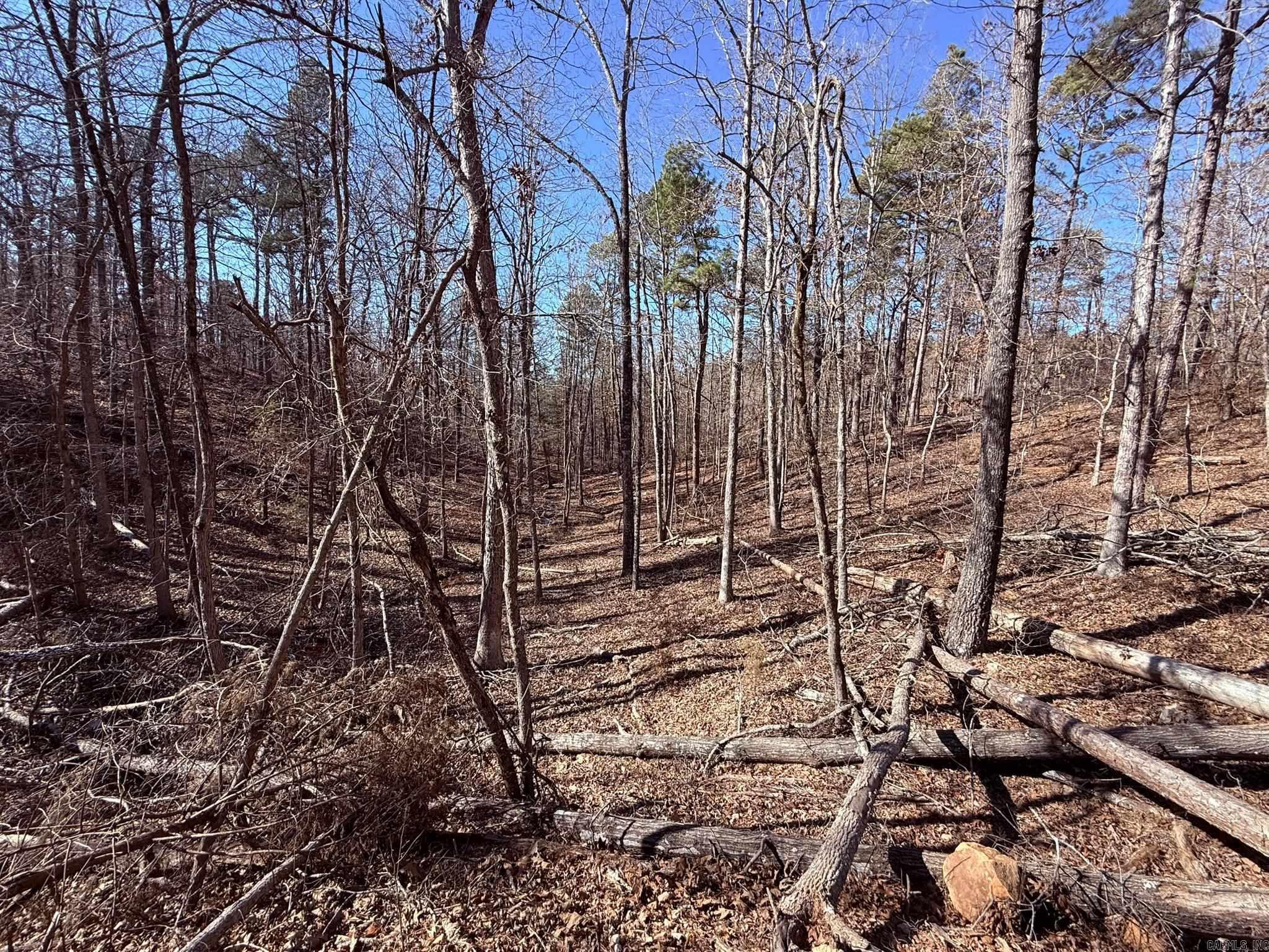 275A Campground Road  Wideman, AR