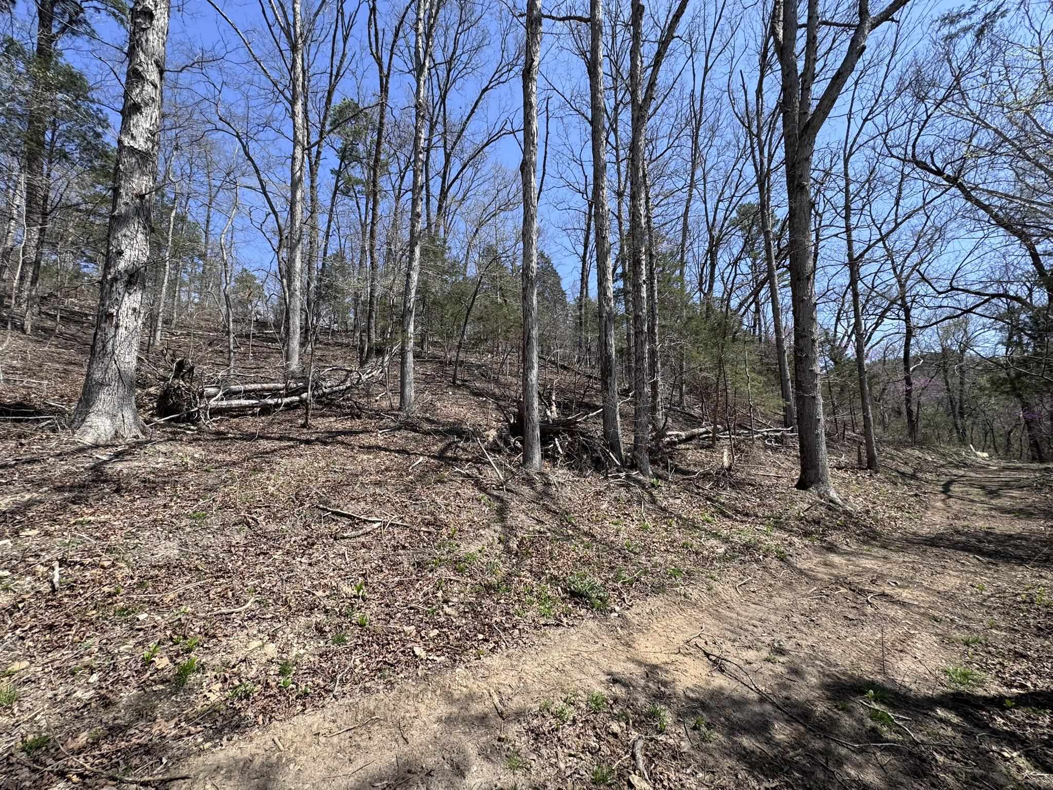 275A Campground Road  Wideman, AR