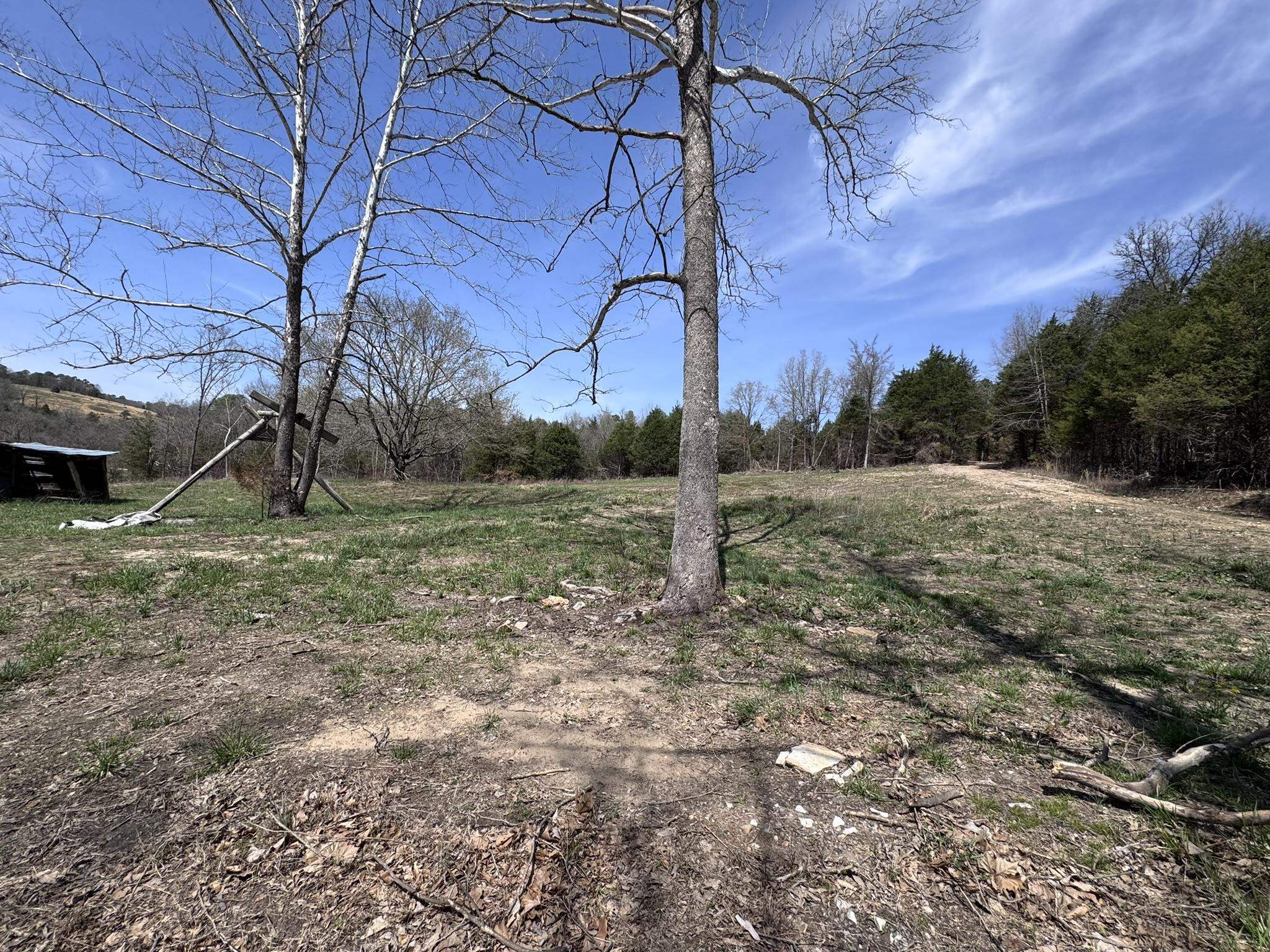 275A Campground Road  Wideman, AR