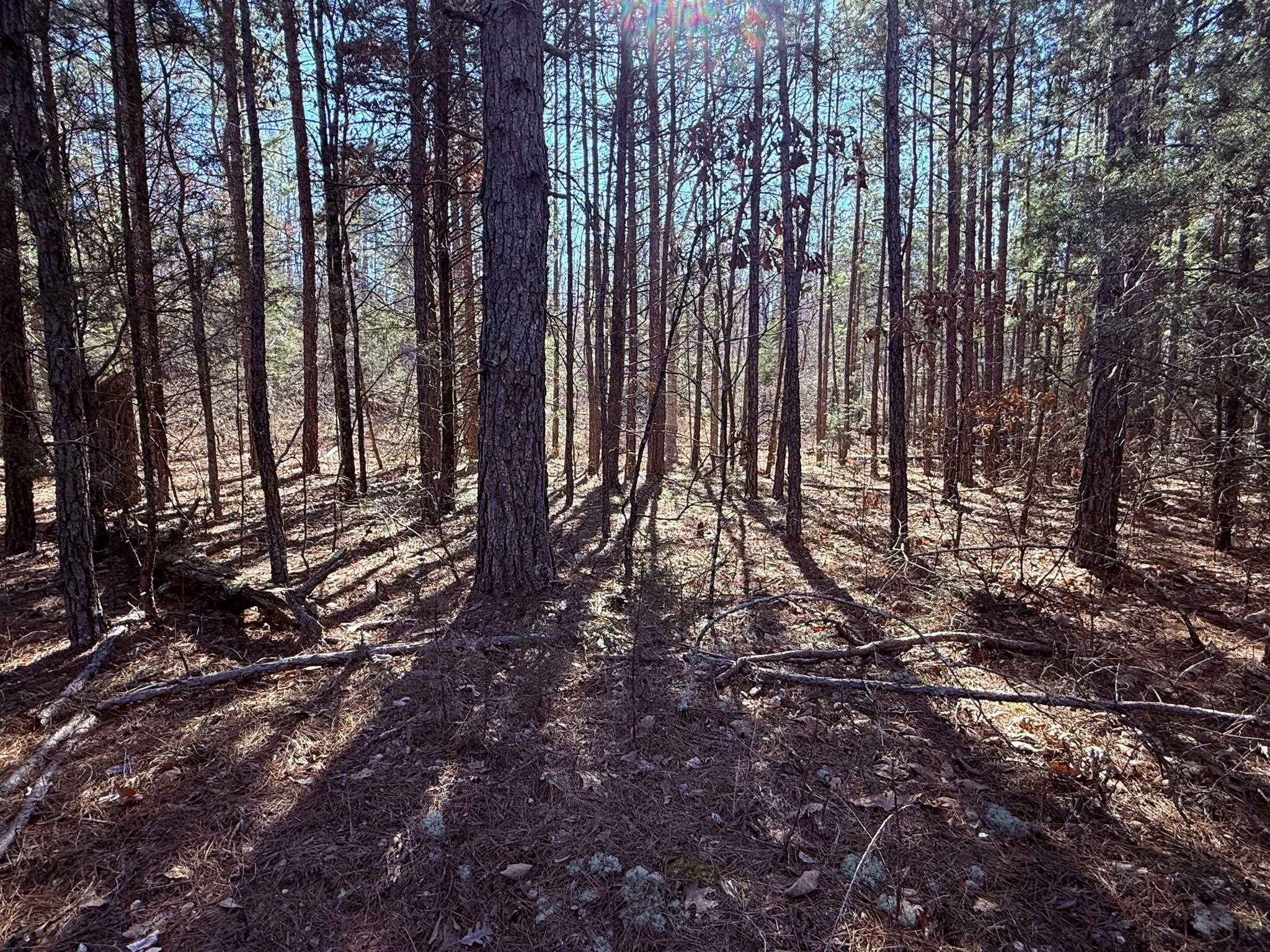 275A Campground Road  Wideman, AR