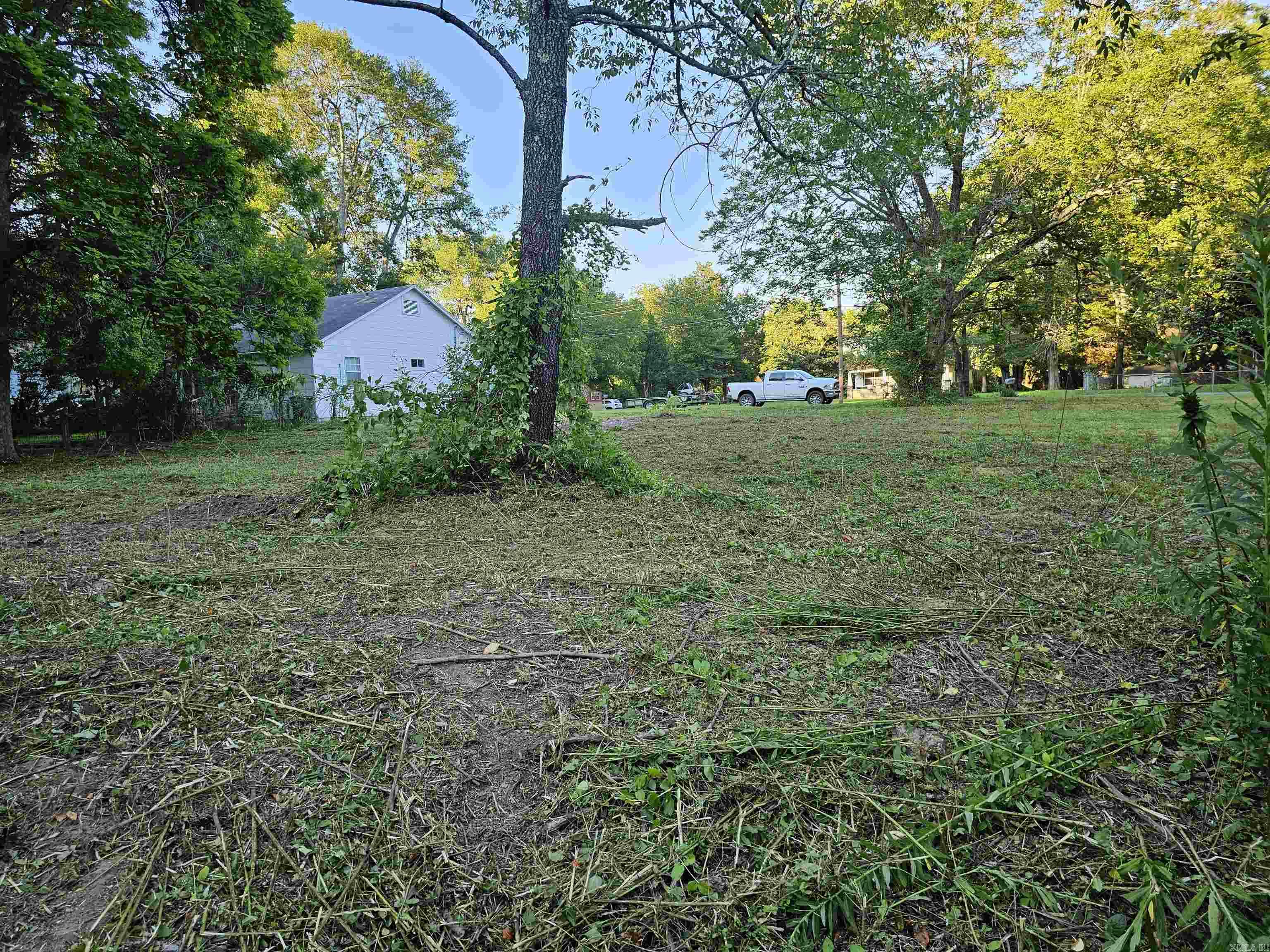 1103 Twelfth  Mena, AR