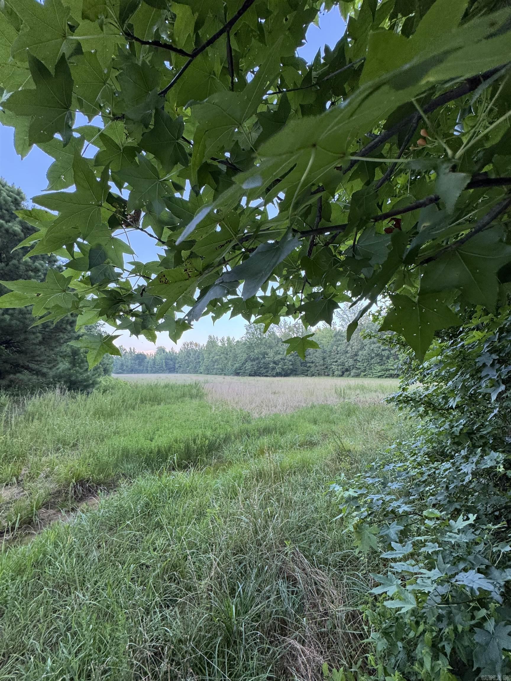 000 County Road 470  Rector, AR