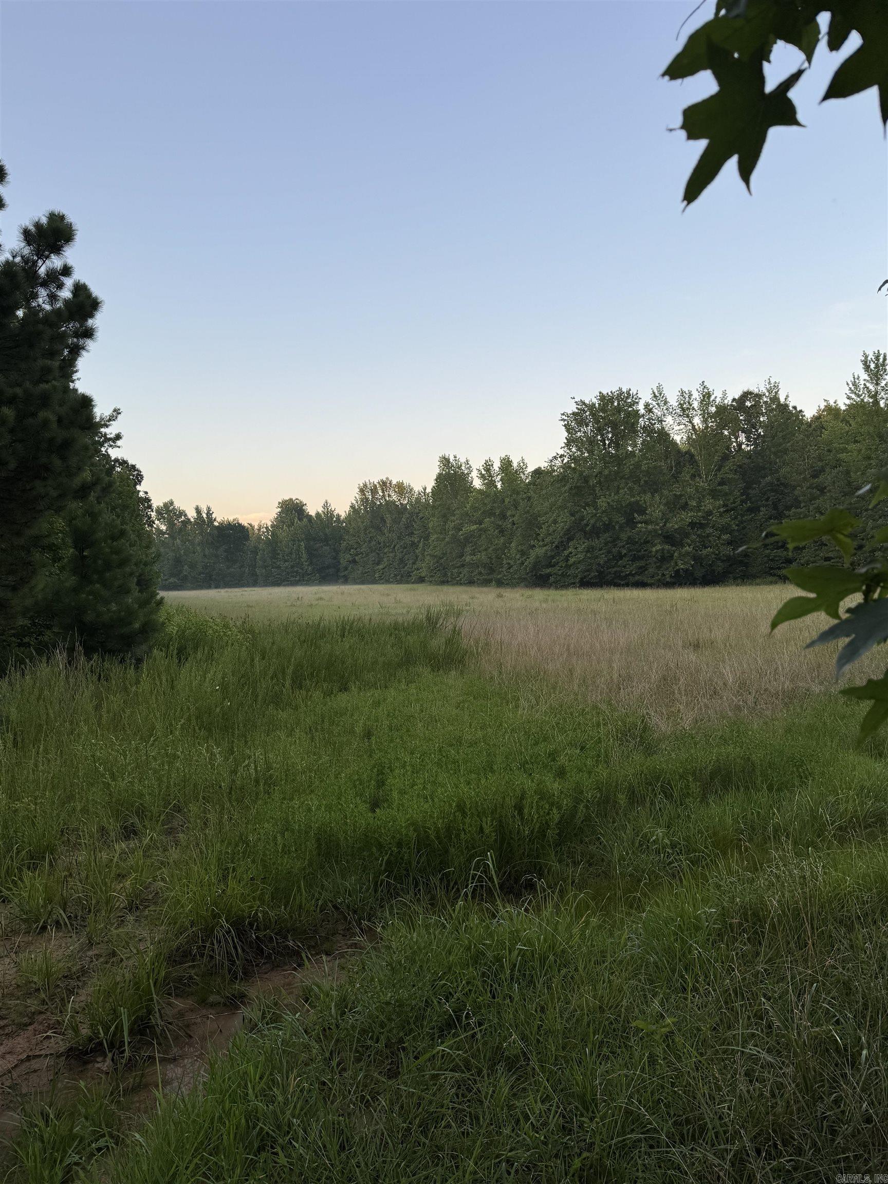 000 County Road 470  Rector, AR