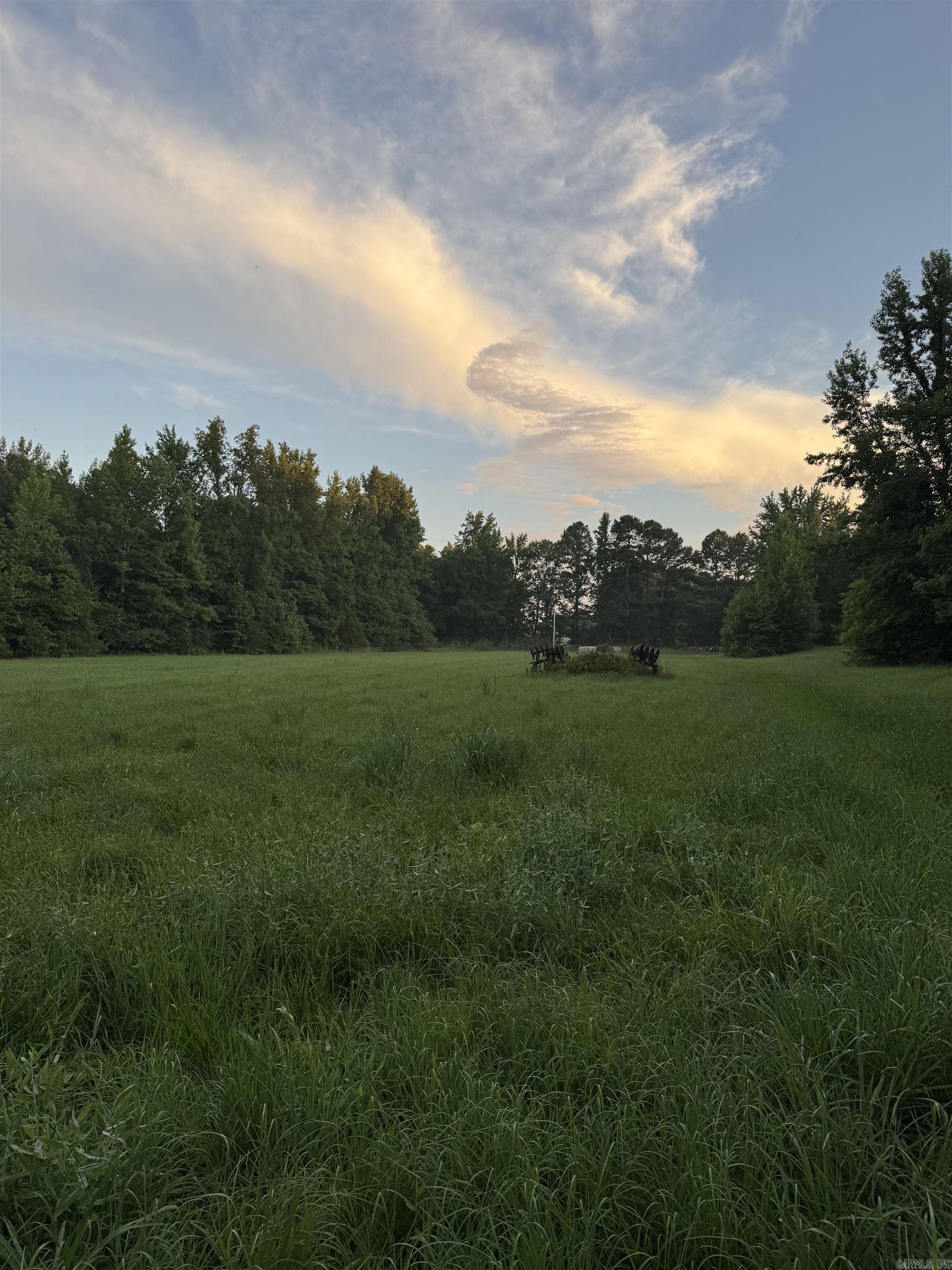 000 County Road 470  Rector, AR