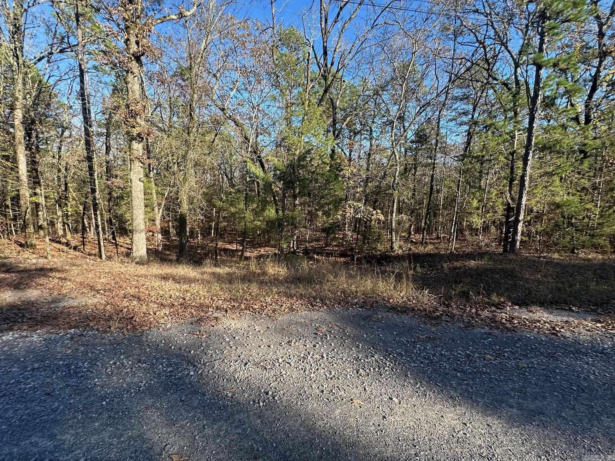 65 Jimmerson Road  Higden, AR