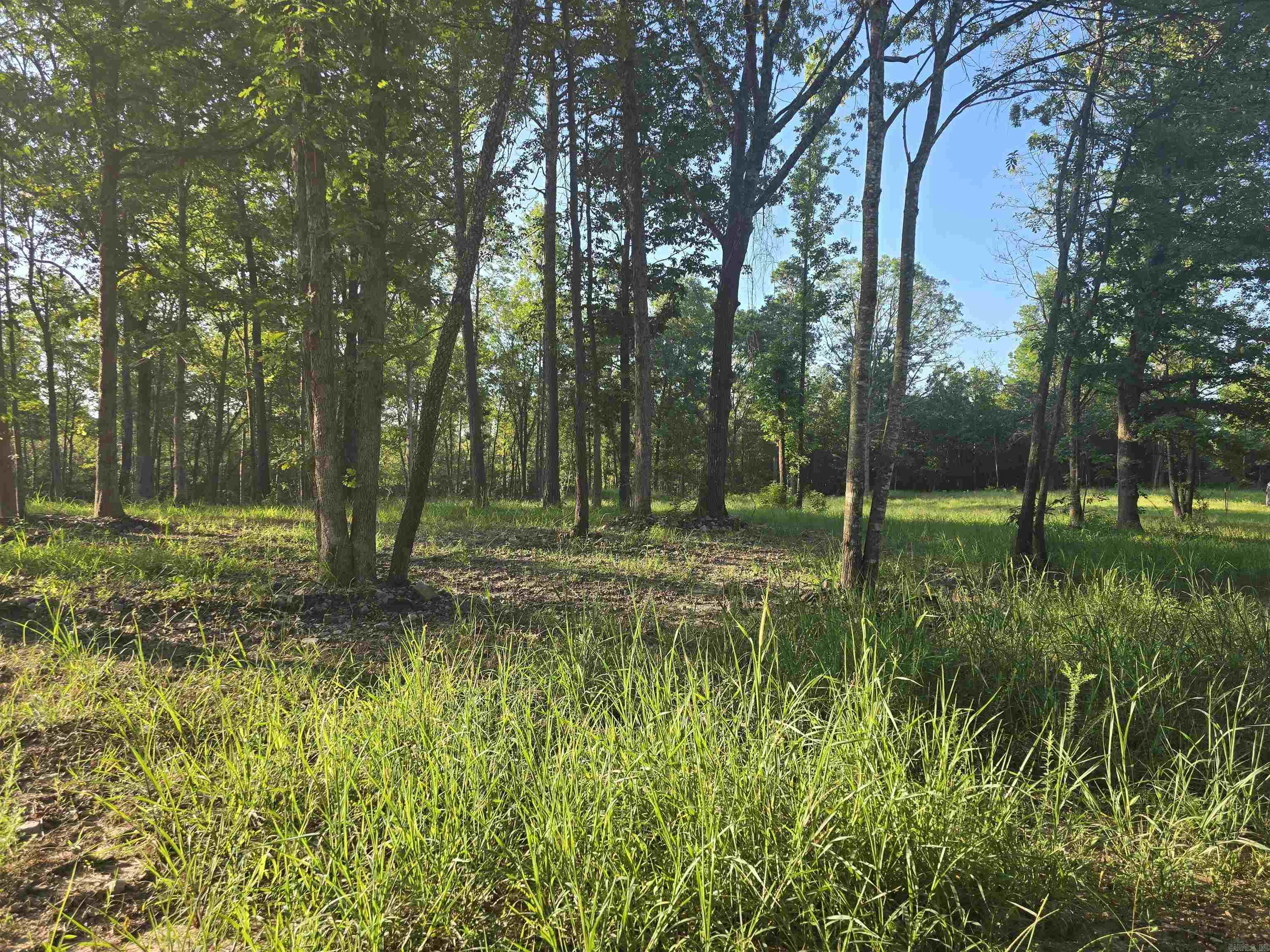 210 Polk Road 121  Mena, AR